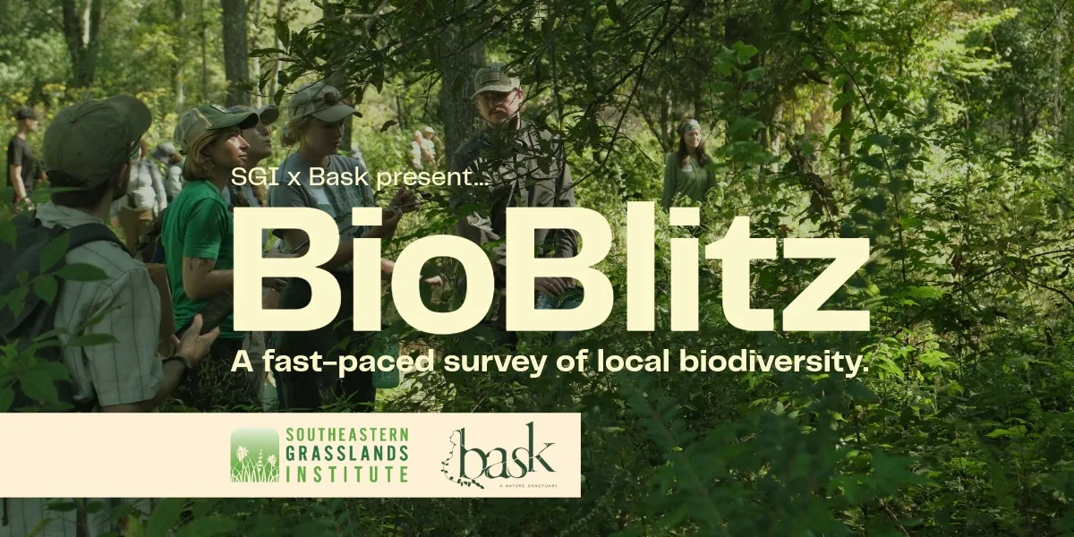 Join the Bask BioBlitz: Explore One of Tennessee's Most Unique Natural Landscapes