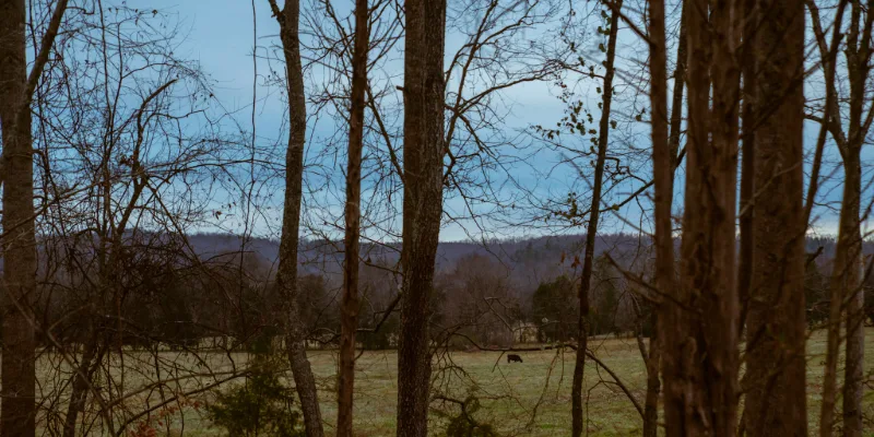 Three Ways Bask Is Cultivating a More Sustainable Landscape