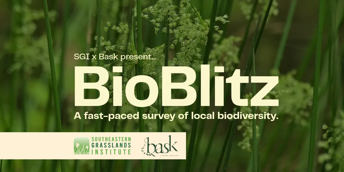 BioBlitz at Bask