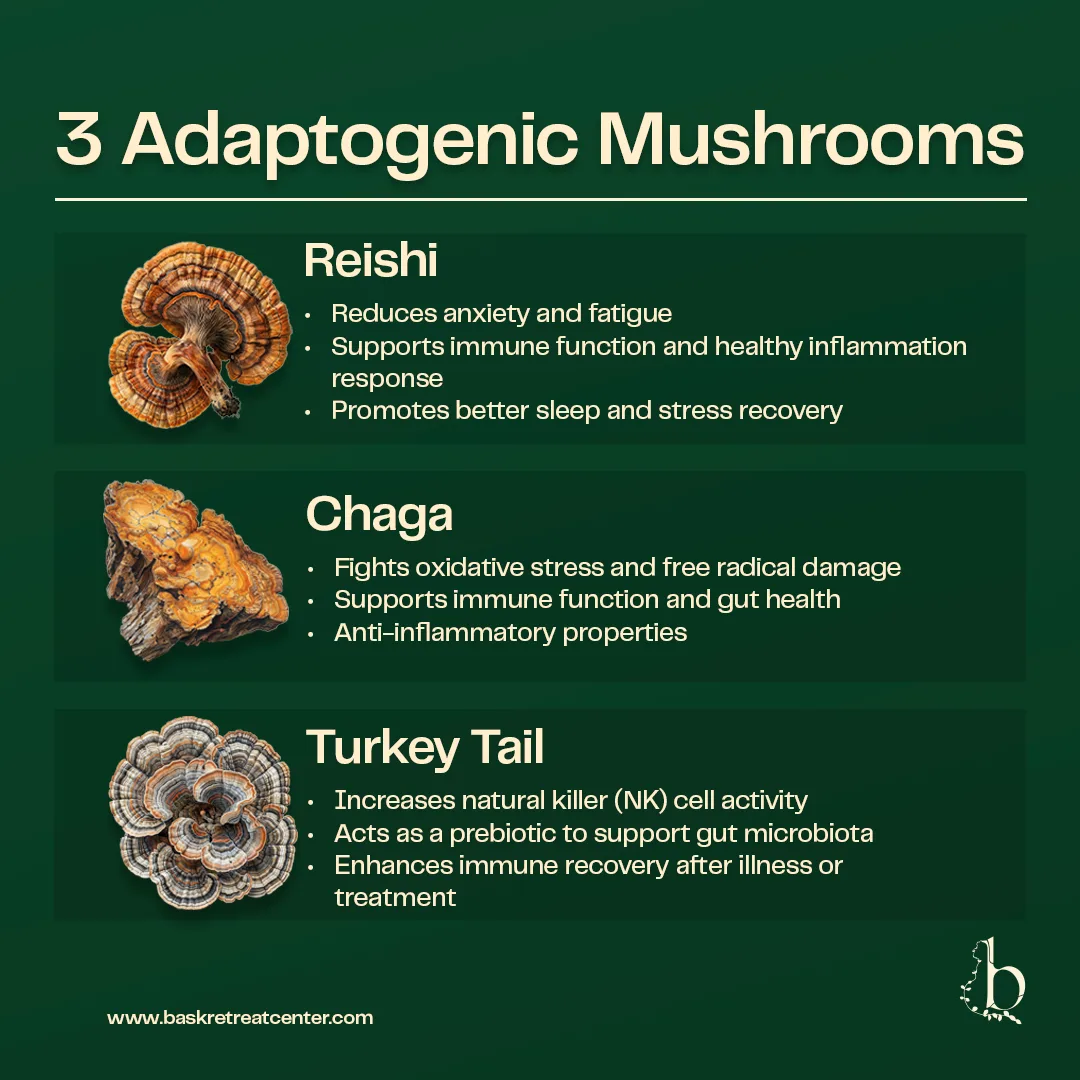 The Benefits of Adaptogenic Mushrooms