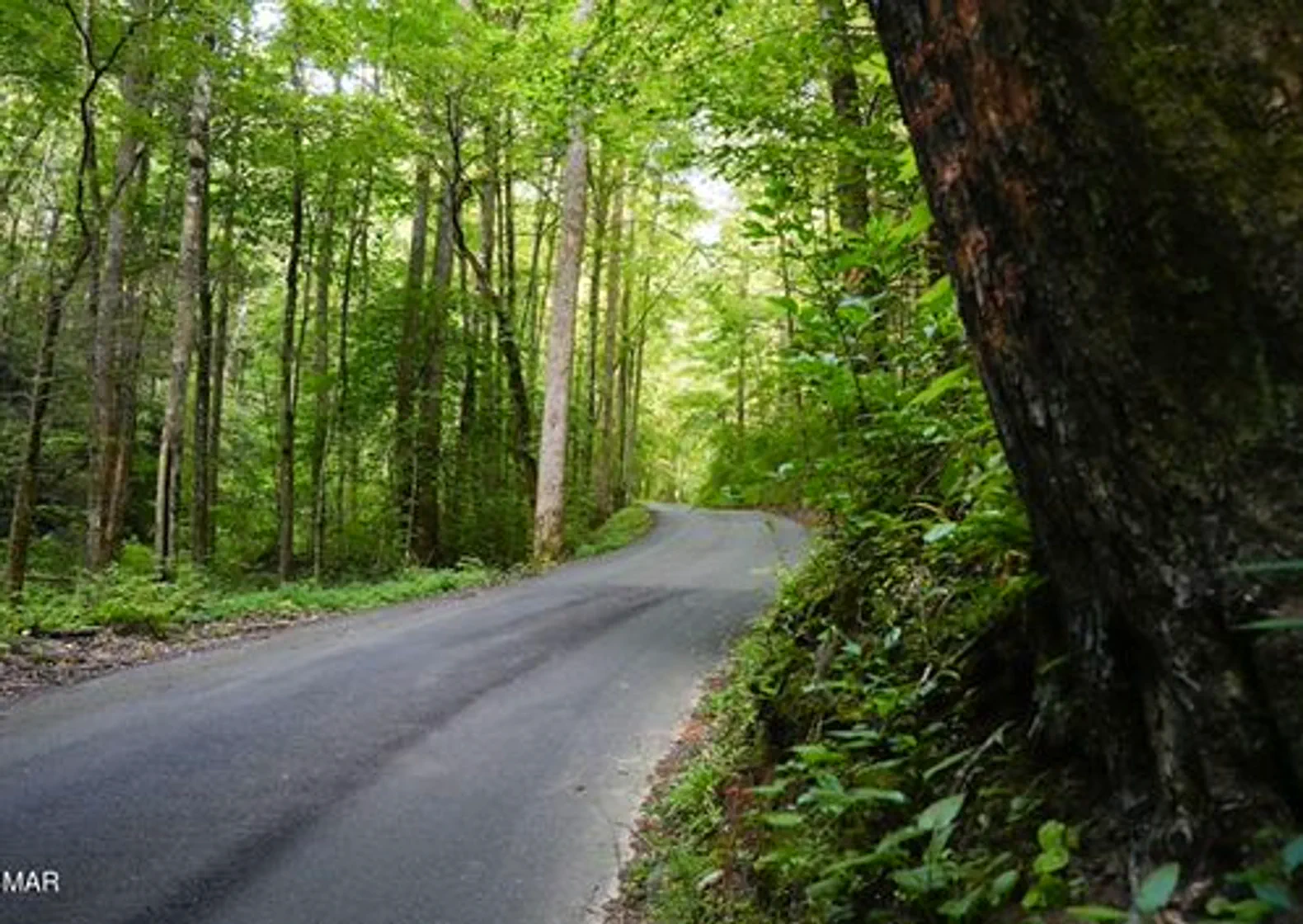 Great Smoky Mountains