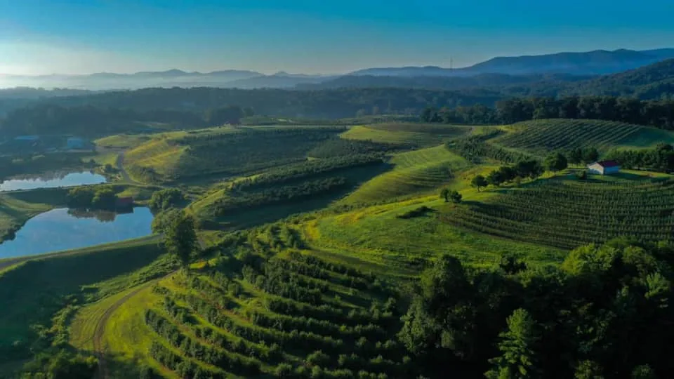 Luxury Adult Only Getaways in Blue Ridge GA