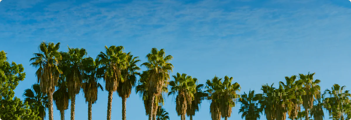 Discover Larchmont Village's Culinary Charm