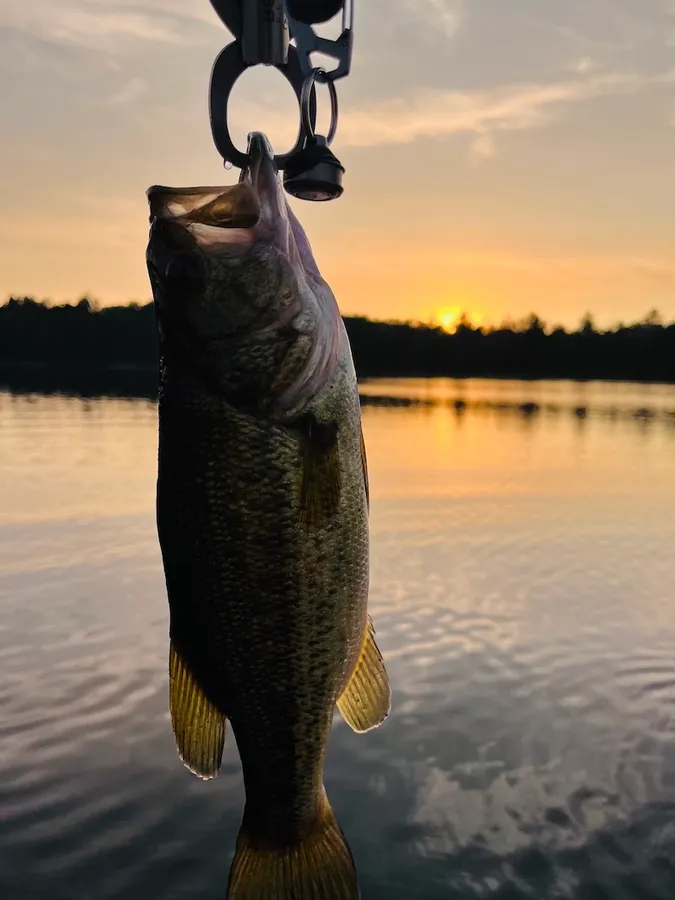 5 Reasons to Book a Cabin for Labor Day Weekend at O’Connell Cabin Co.