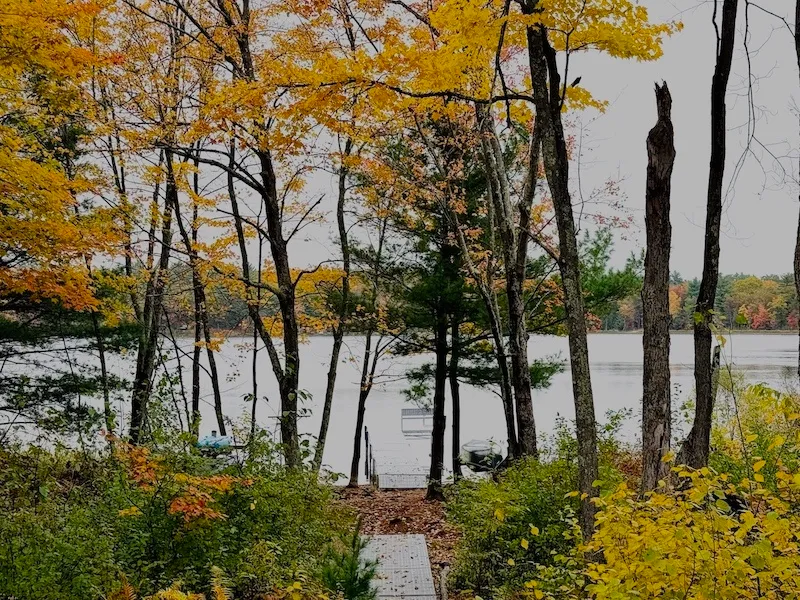 Fall Cabin Weekend Near Stone Lake & Hayward: 4 Scenic, Pet-Friendly Things to Do