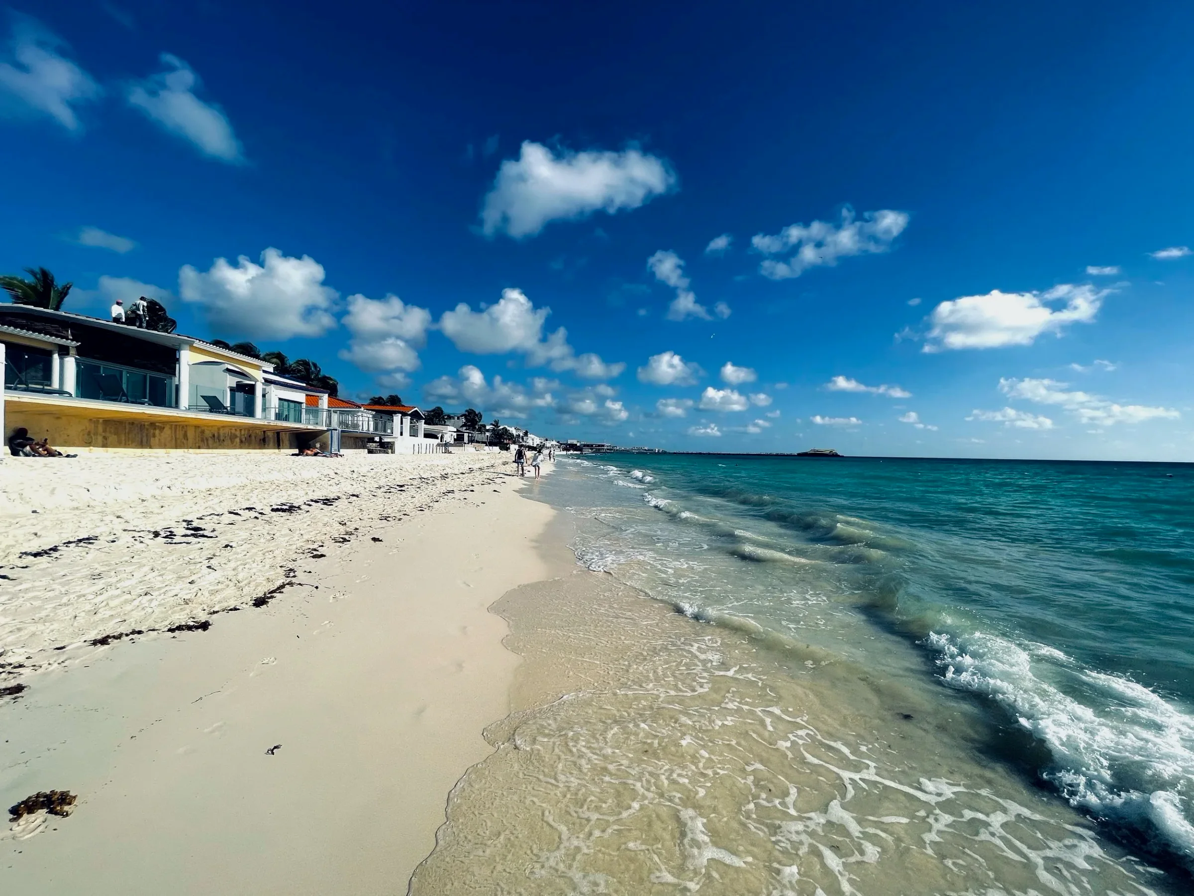 Beach Cam