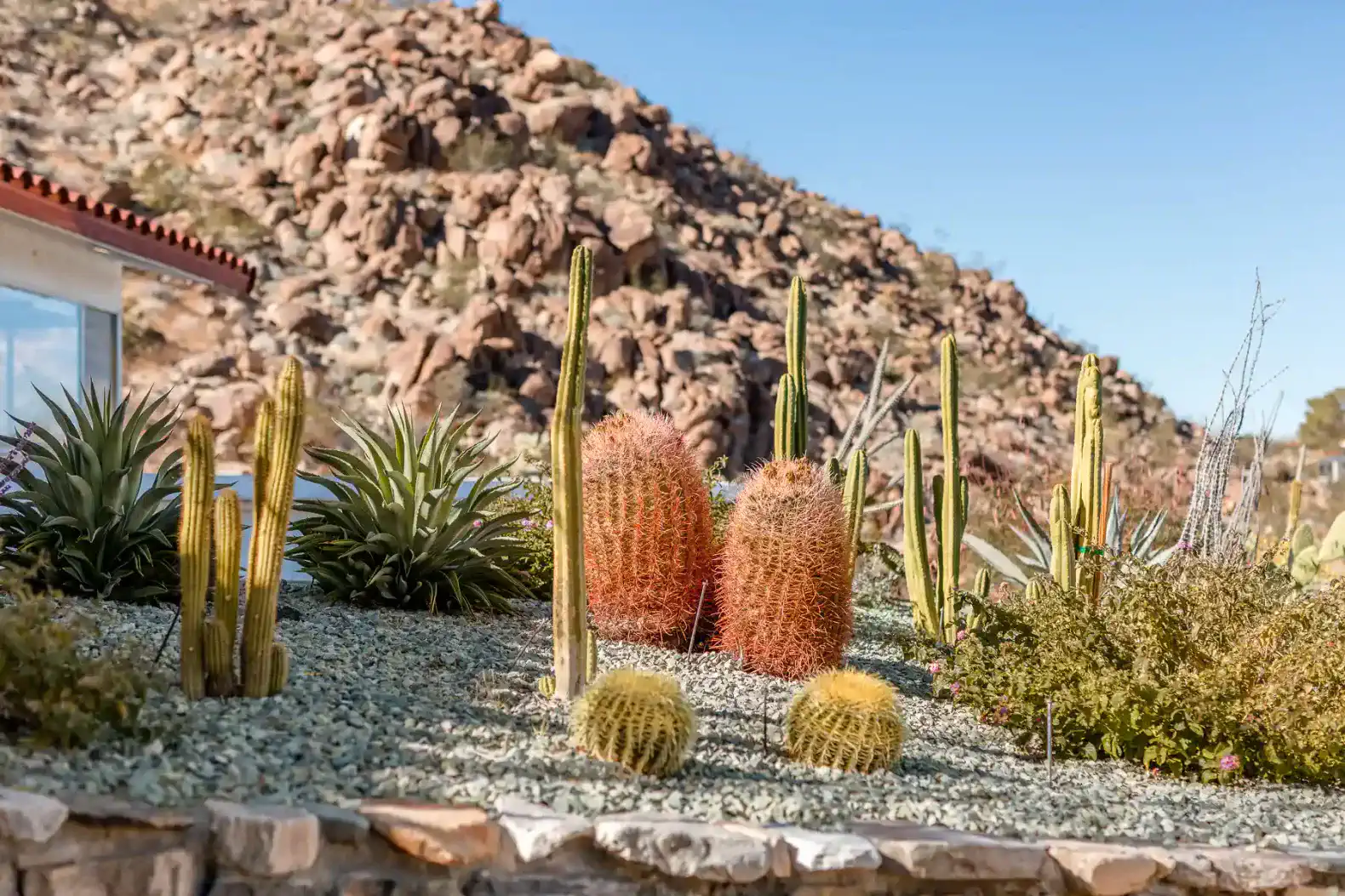 Zainaland – photo 68