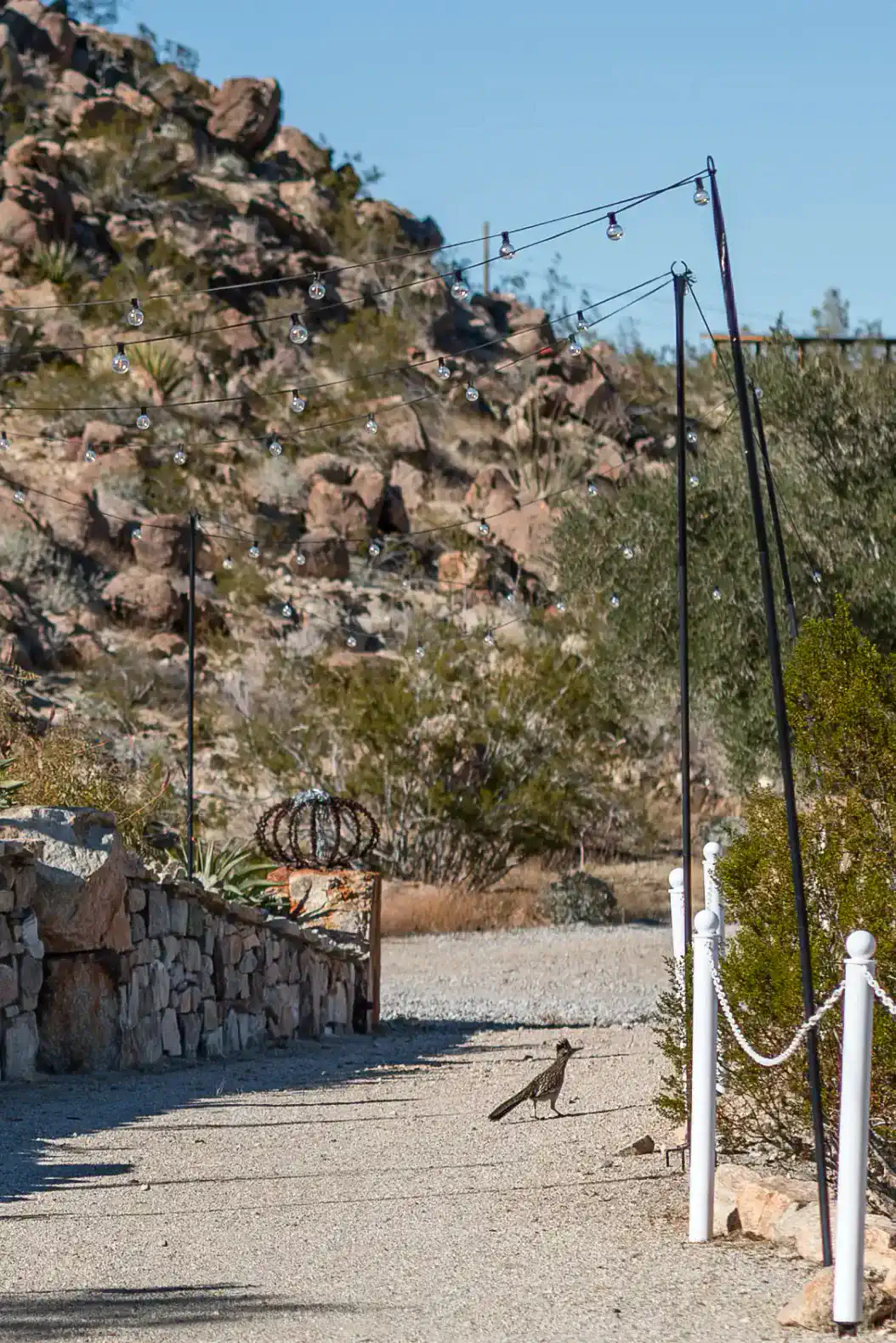 Zainaland – photo 65