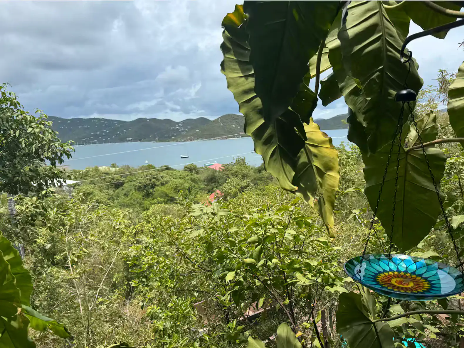 Lush greenery framing a stunning view of Coral Bay and distant hills under a cloudy sky