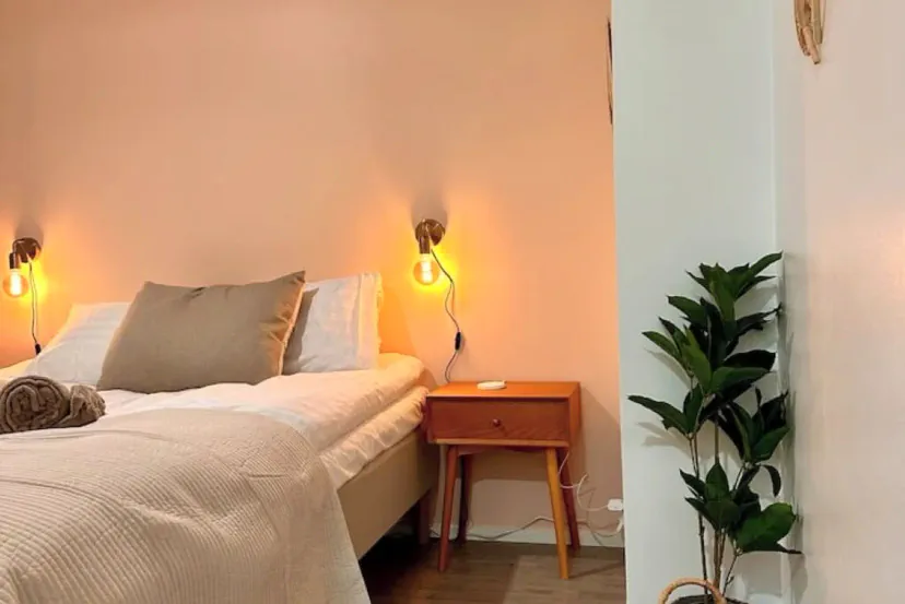 Cozy bedroom featuring a queen bed, bedside table, and decorative plant