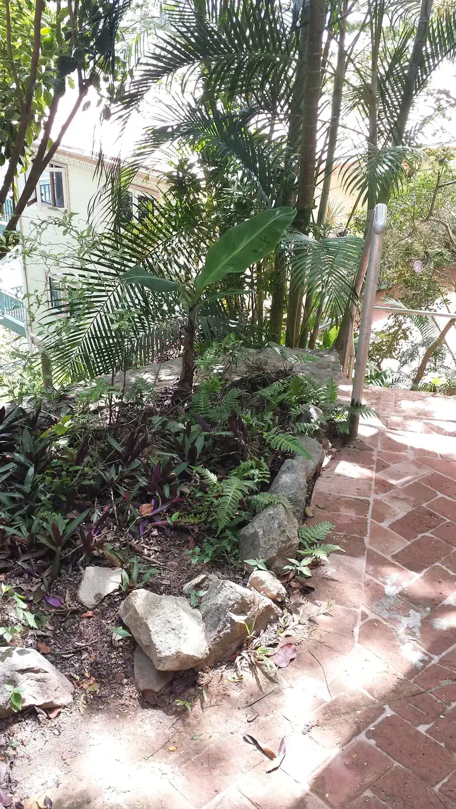 Quaint studio on Bordeaux Mountain photo 2