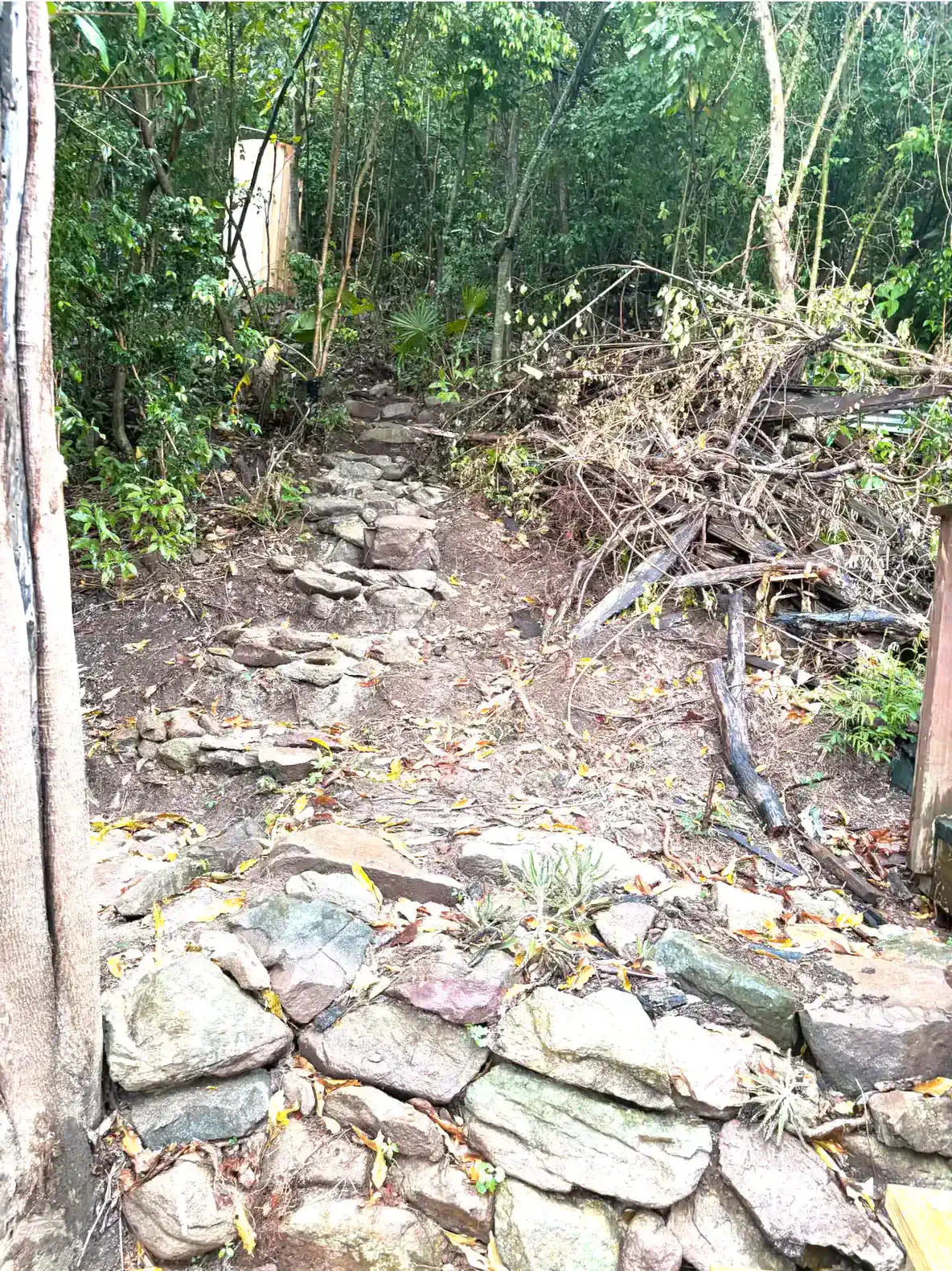 Cocoa Tea Villa – photo 8