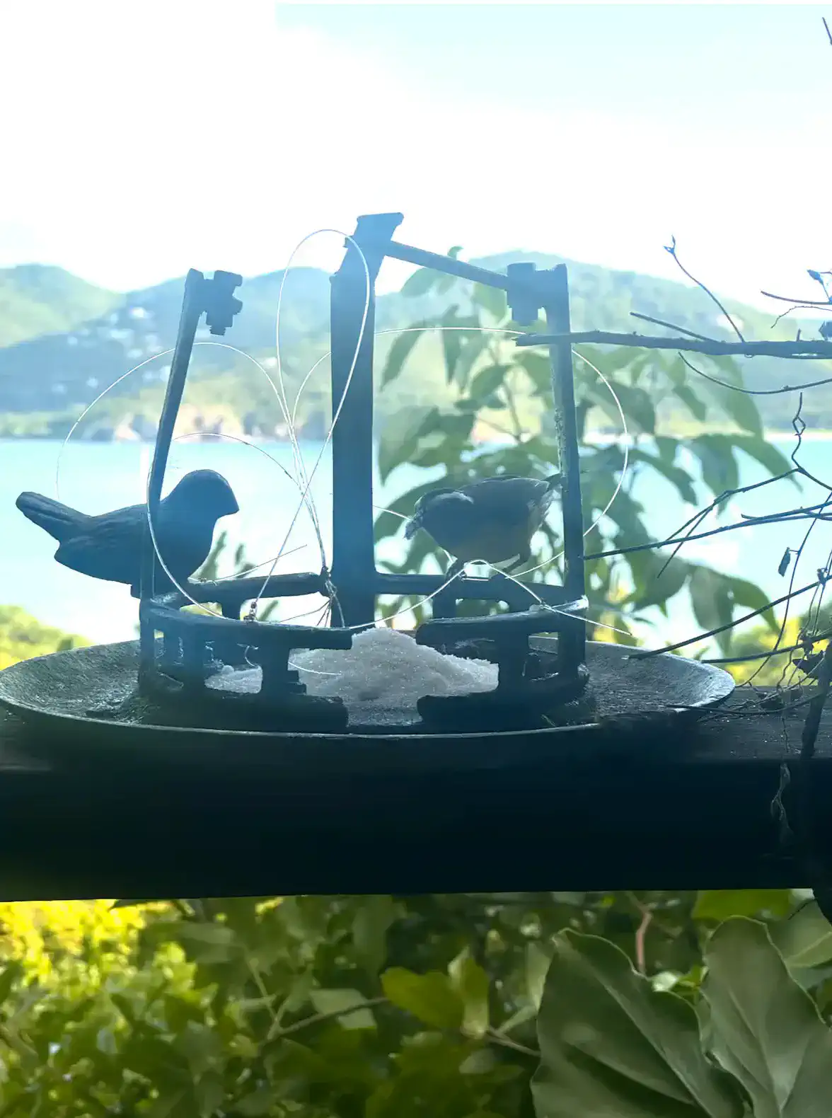 Cocoa Tea Villa – photo 14