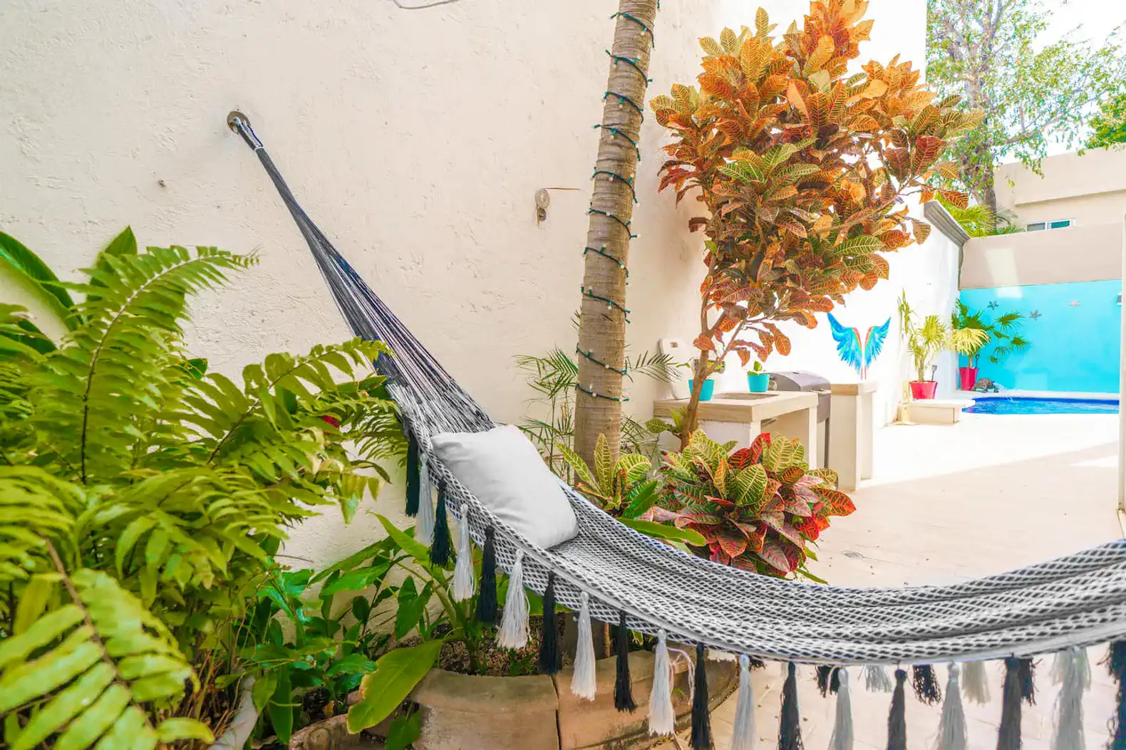 Cozy hammock surrounded by lush greenery and colorful plants near the pool
