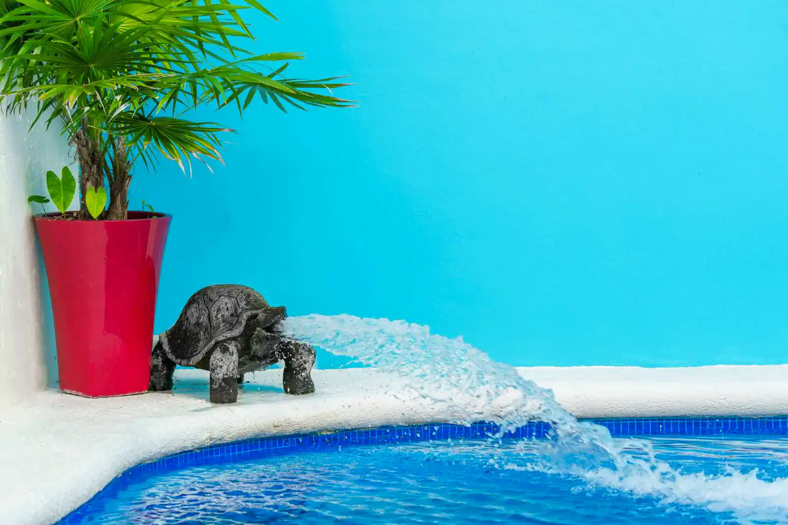 Decorative turtle fountain spouting water into a vibrant blue pool