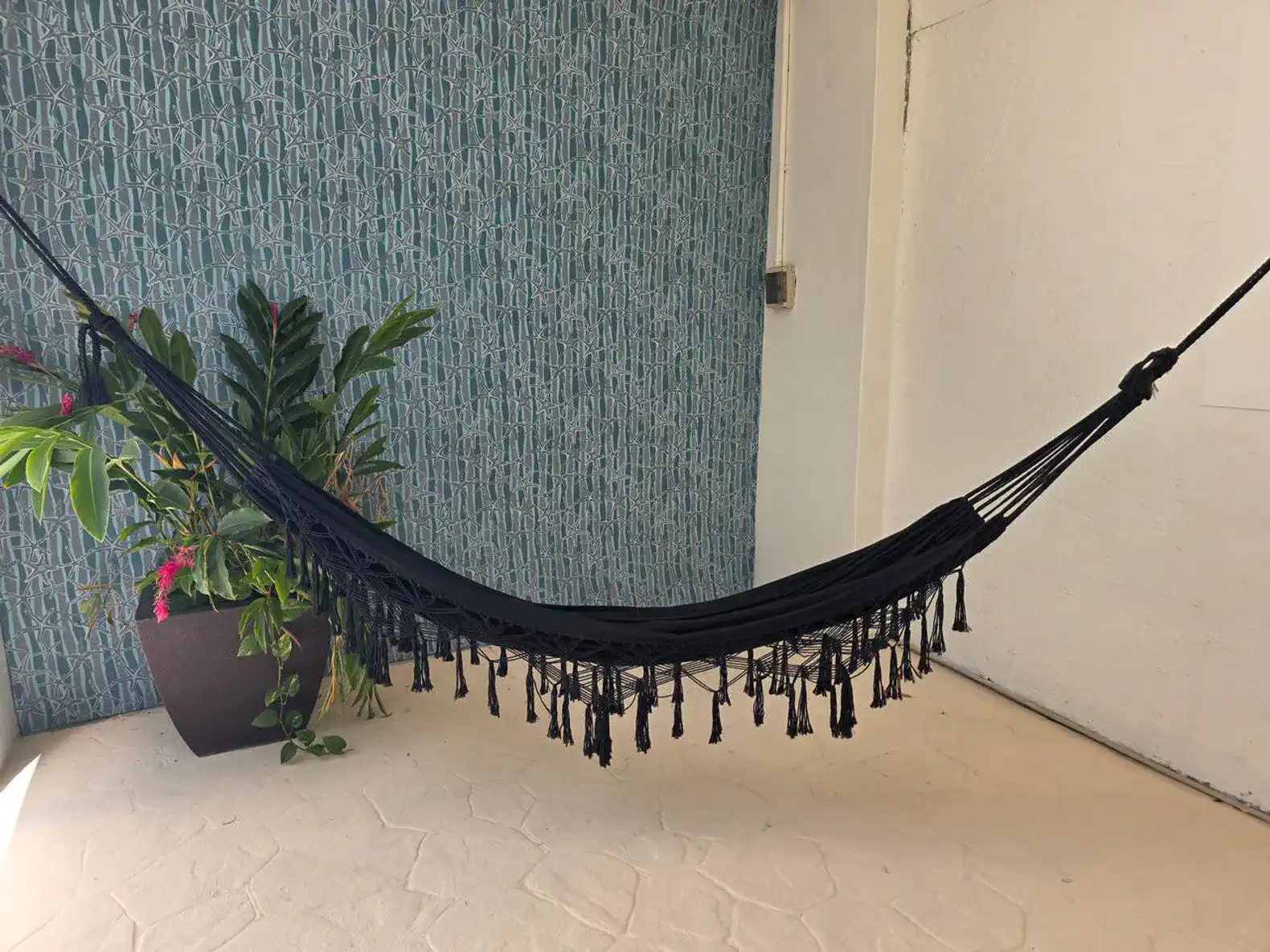 Cozy black hammock with decorative tassels next to a potted plant