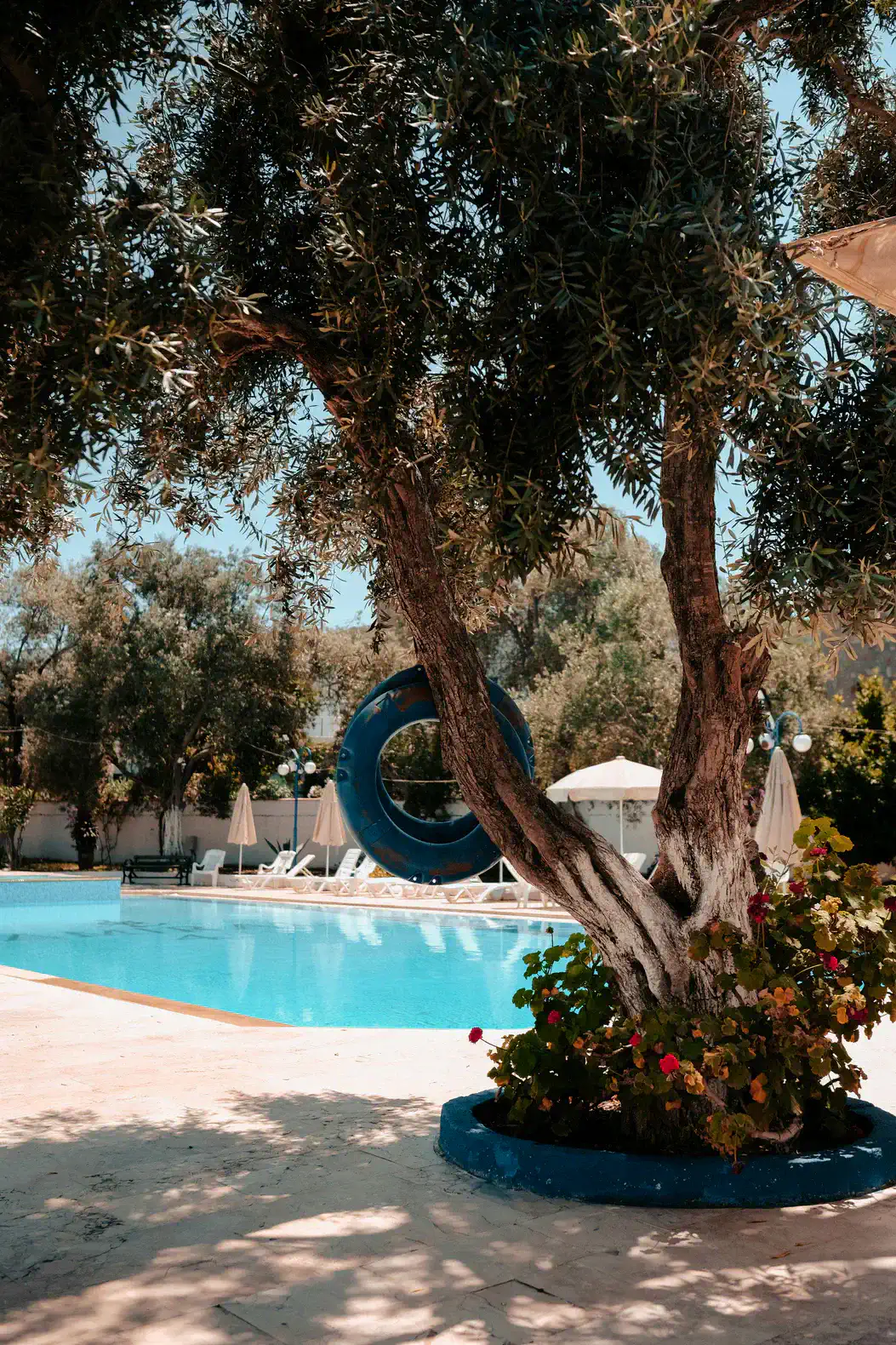 Mediterranean Oasis in Bodrum – photo 7