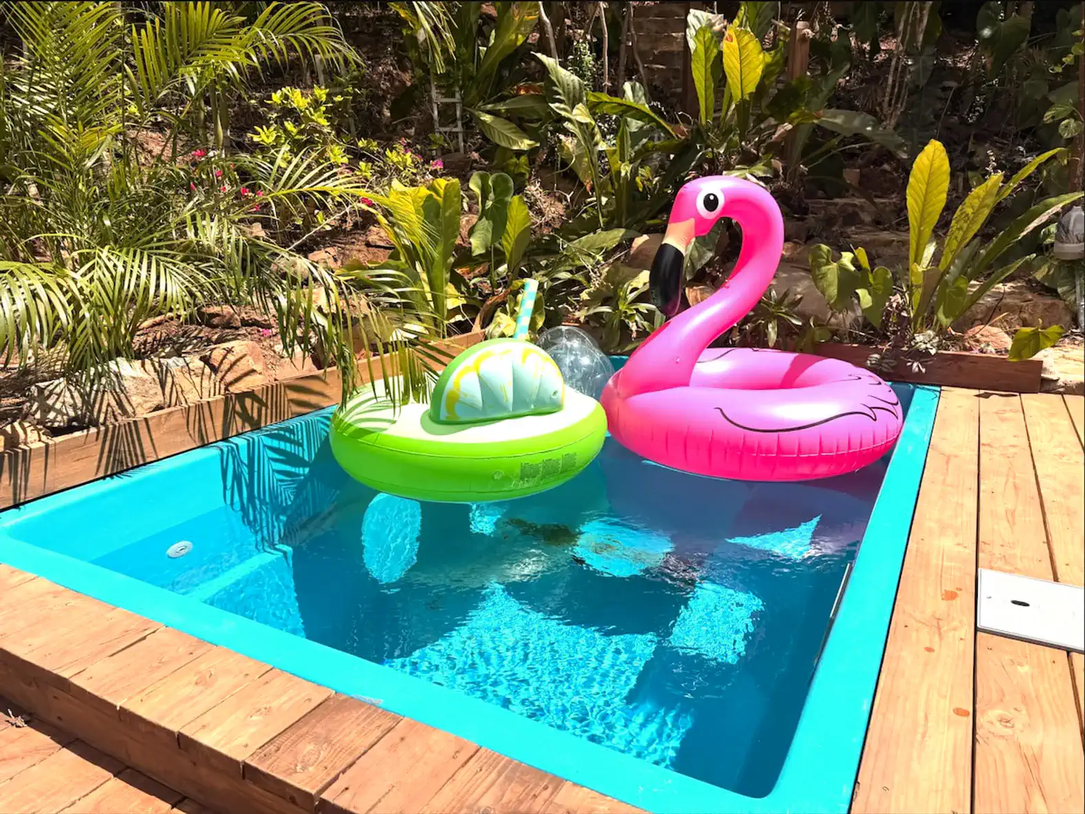 Colorful pool floats in a vibrant blue pool surrounded by tropical plants