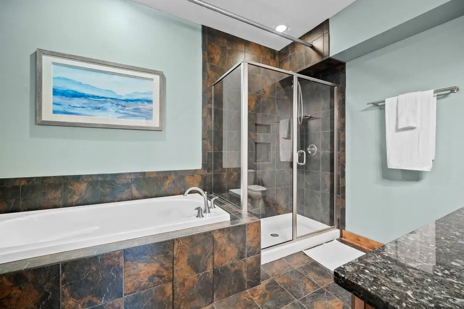 The primary bathroom has a jacuzzi tub as well as a large walk-in shower.