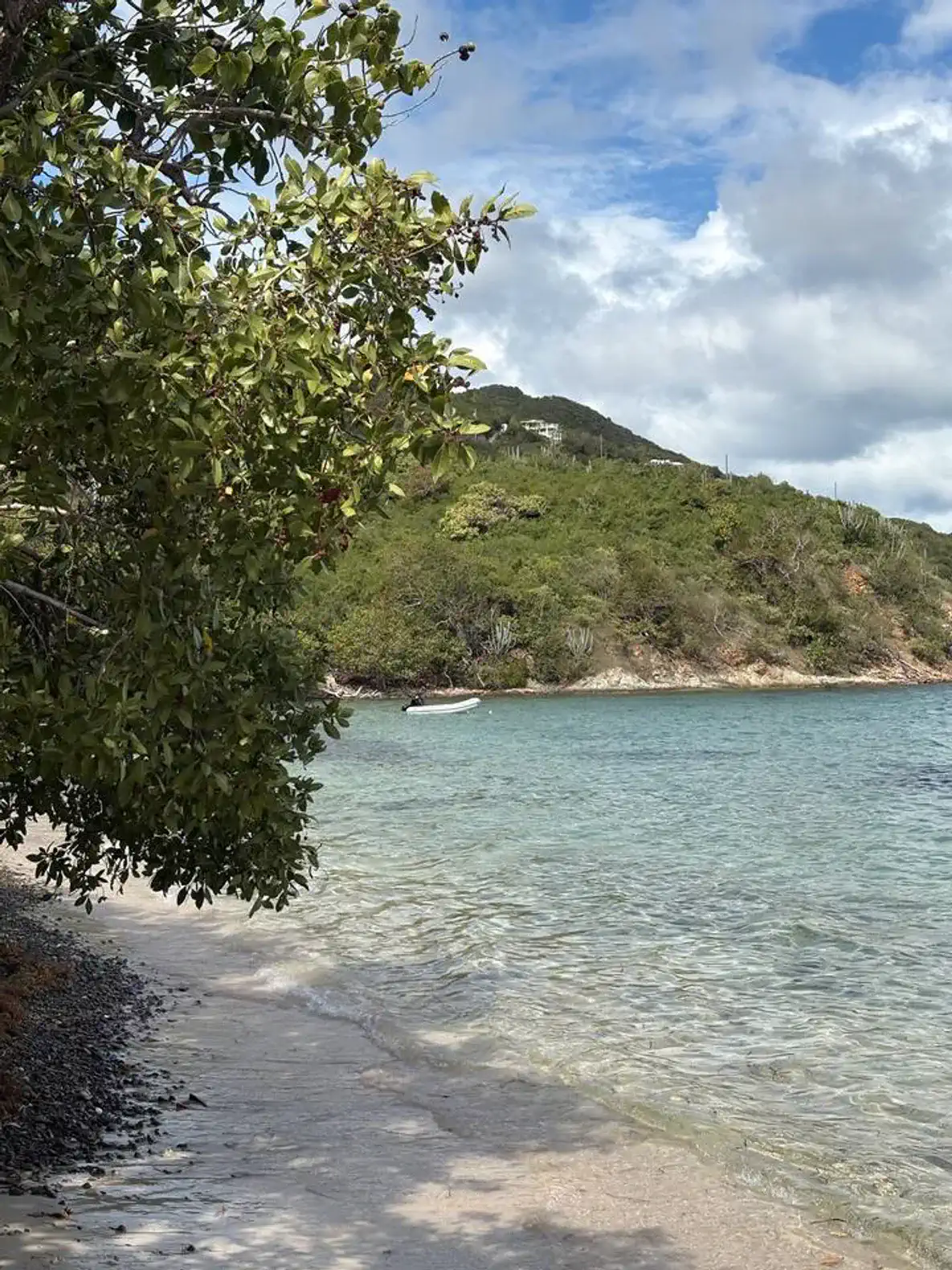 Serene beach view with clear water and lush greenery