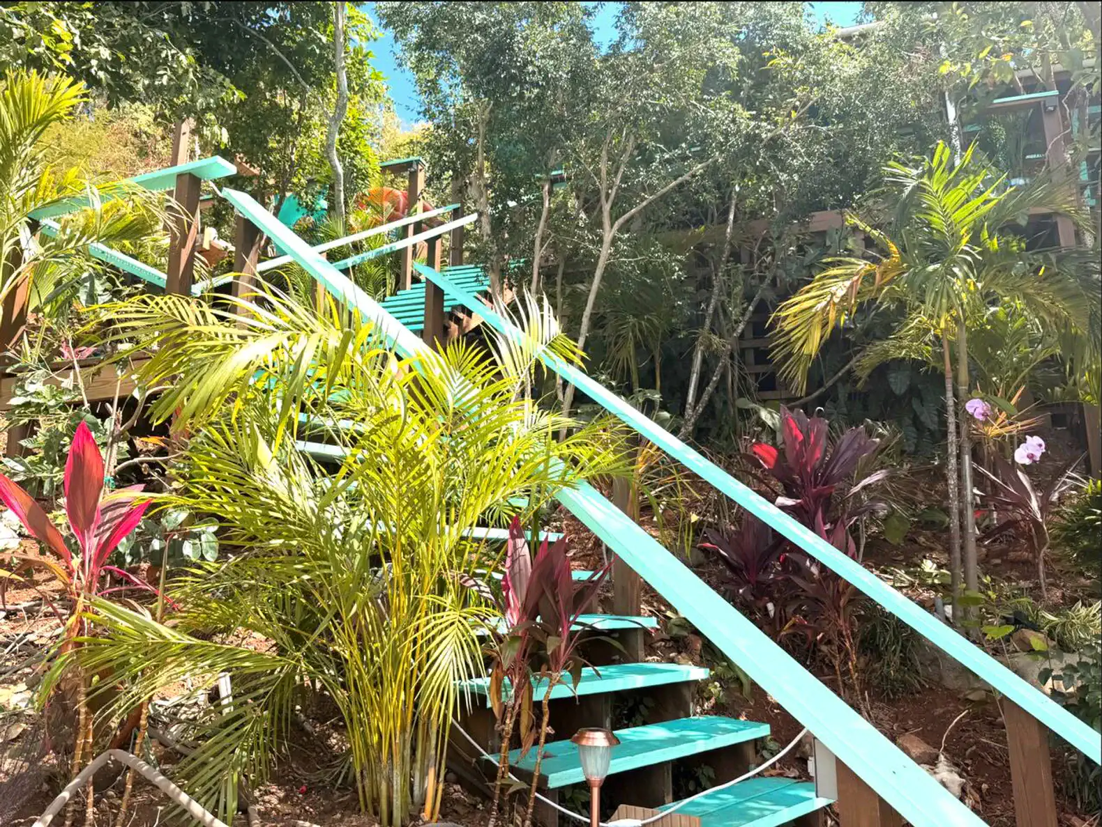 Colorful tropical garden with vibrant plants and turquoise stairs leading up