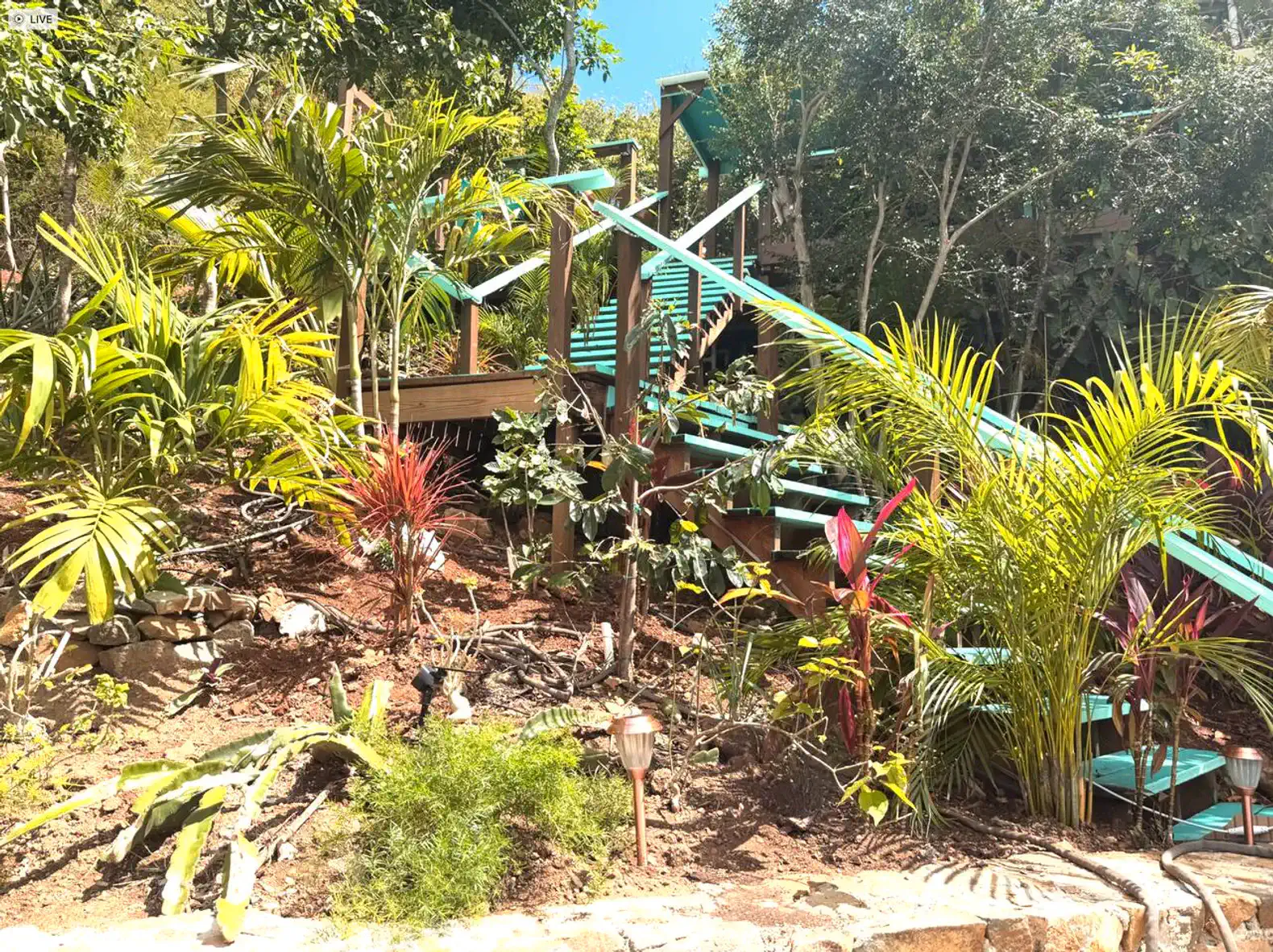 Lush tropical landscaping with vibrant plants and wooden stairs leading up