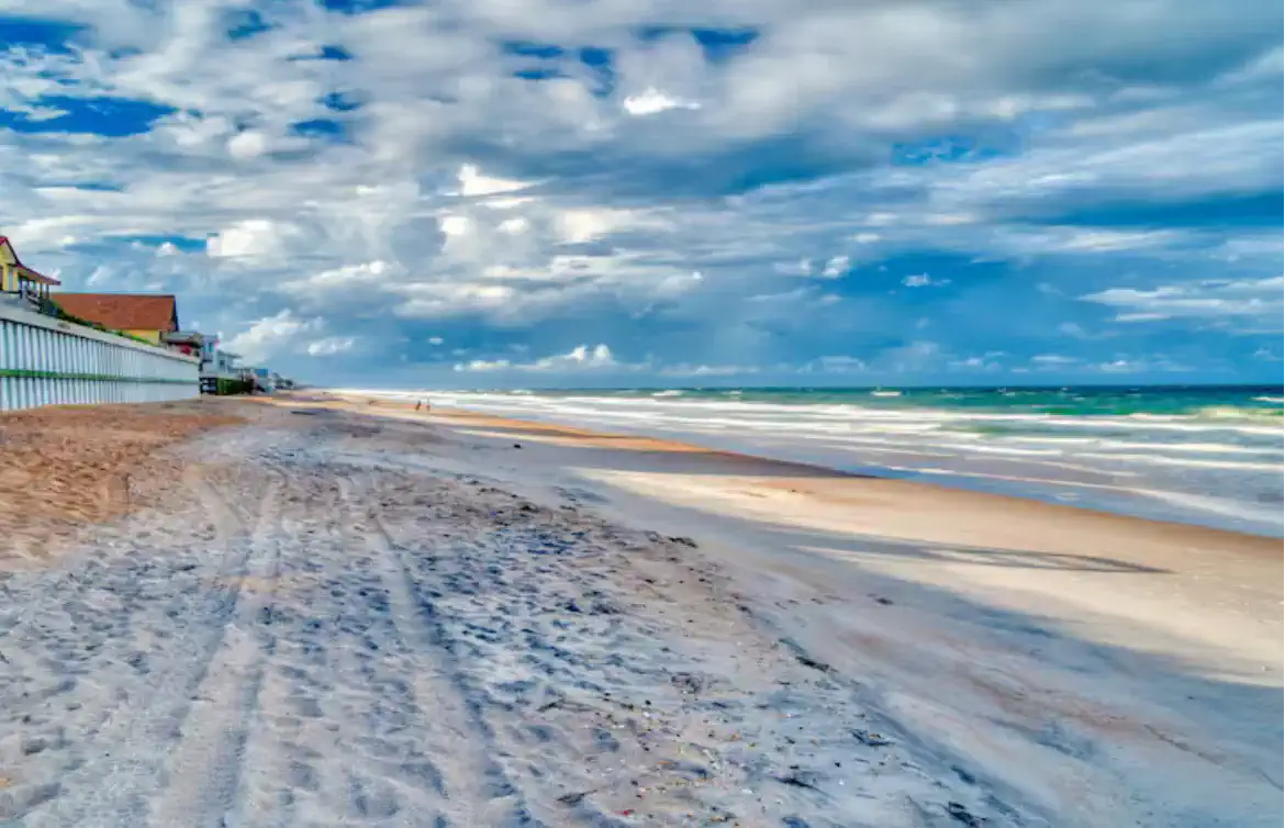 Salt and Palms – foto 4