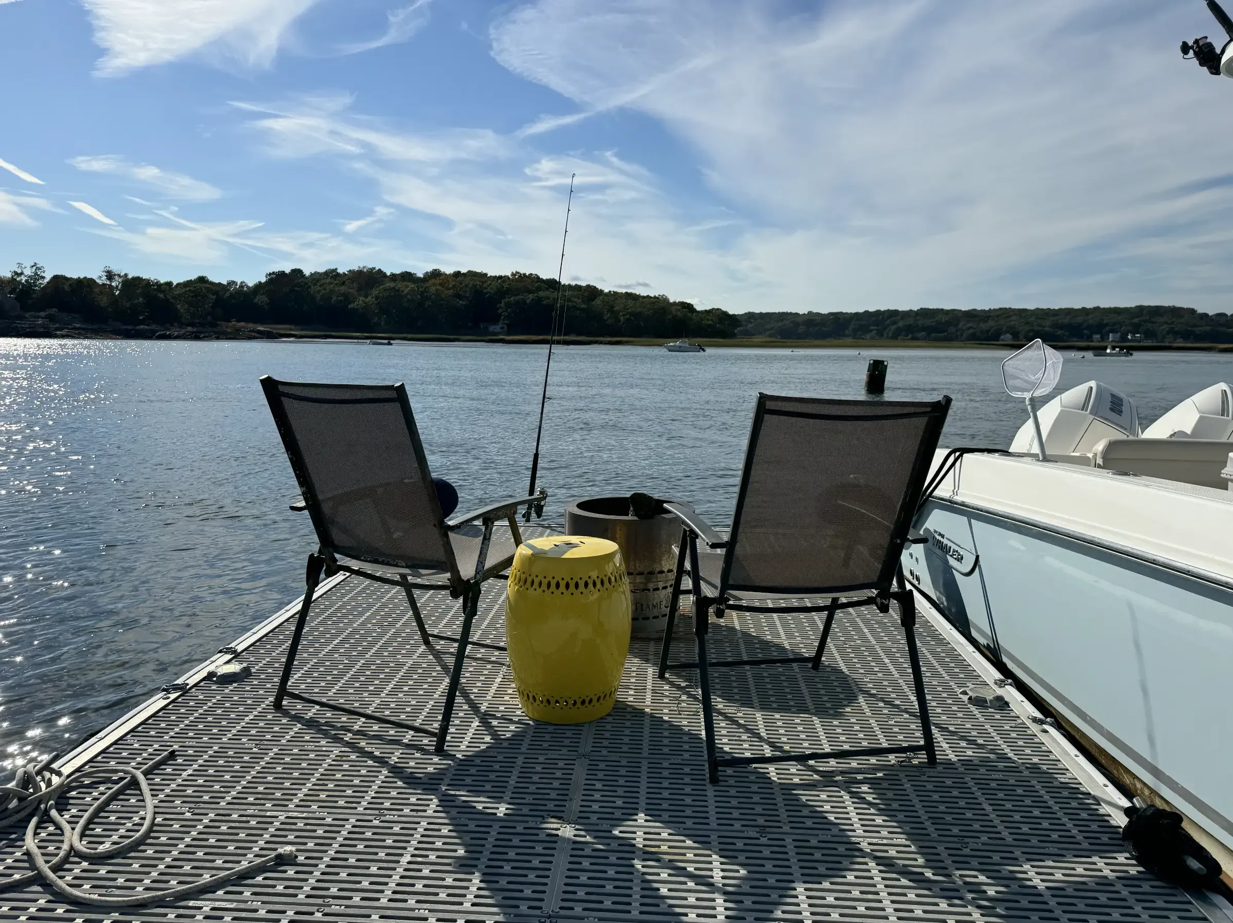 The One‑Legged Seagull and the Boat Captain of Gloucester
