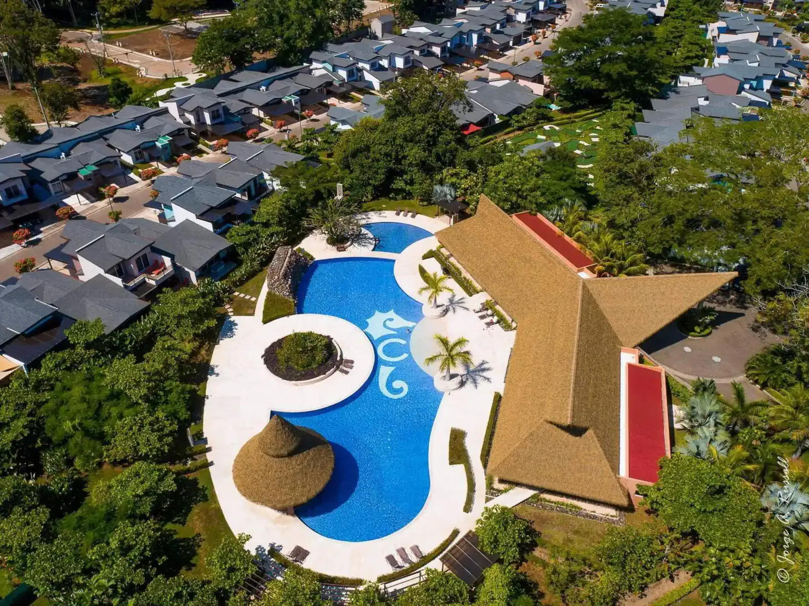 Casa Rivera – photo 4