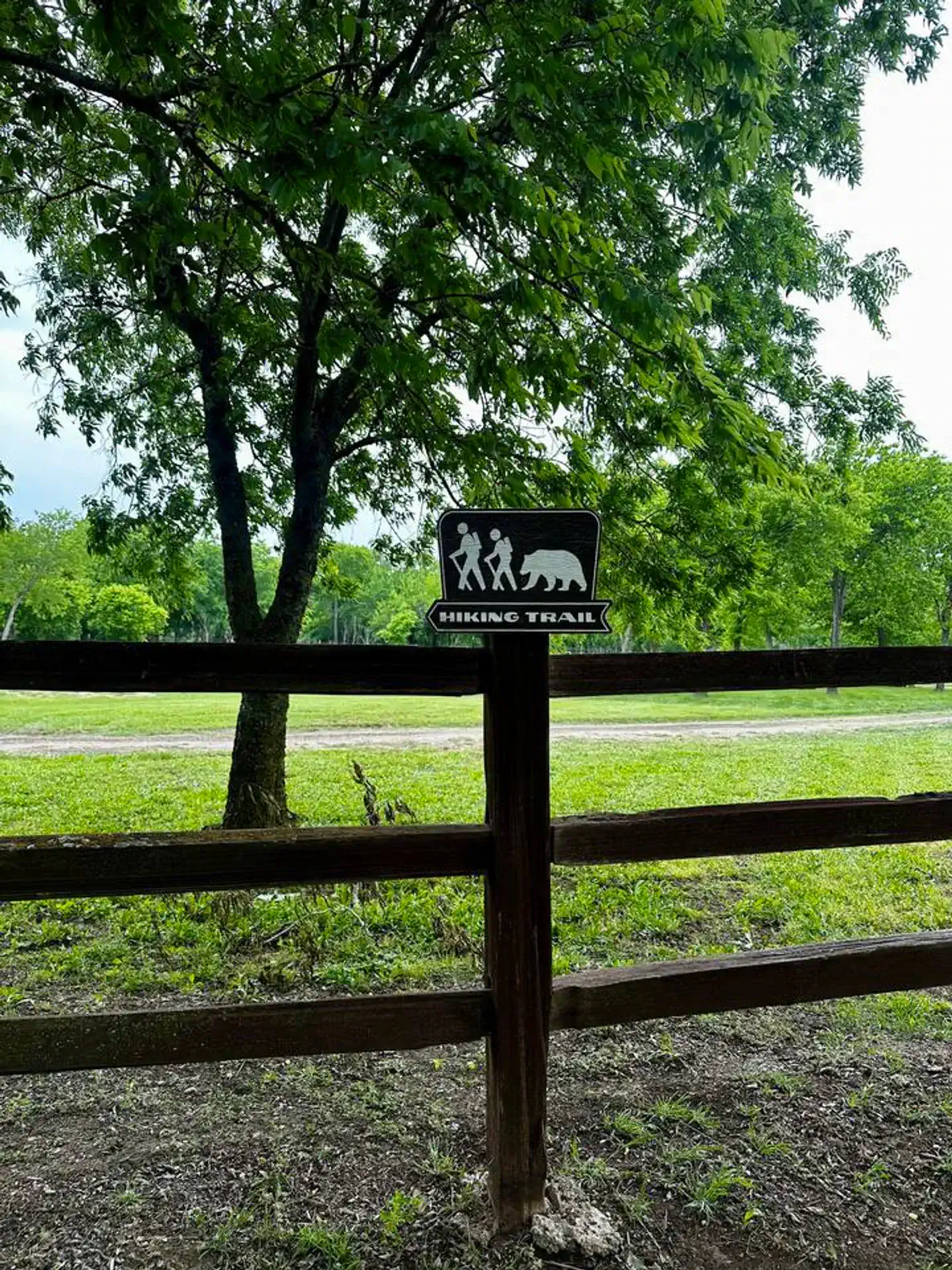 Sign for hiking trail with a bear symbol surrounded by lush greenery
