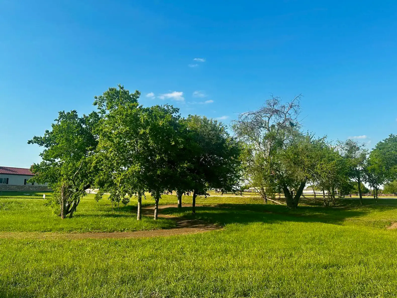 Lush green lawn with scattered trees under a clear blue sky