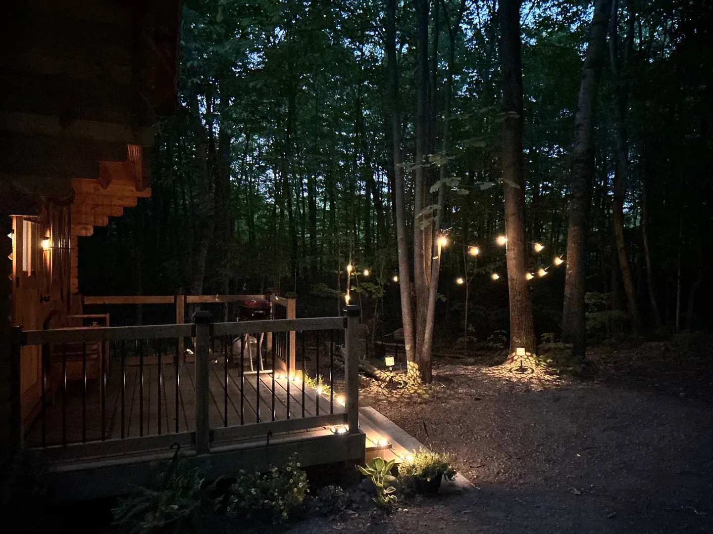 Langsam Aufwachen • Kleine Hütte Großer Wald + 200 Acres – Foto 43