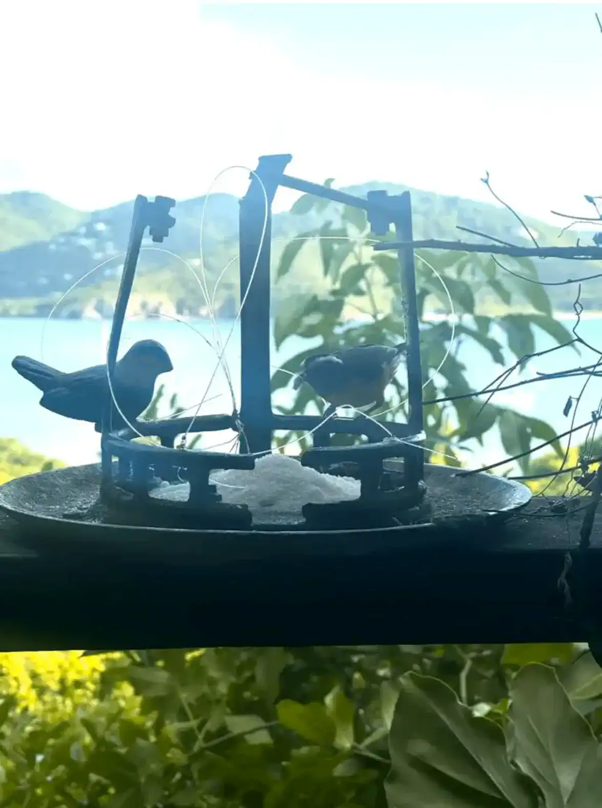 Bird feeder with two birds and a scenic view of the water and mountains
