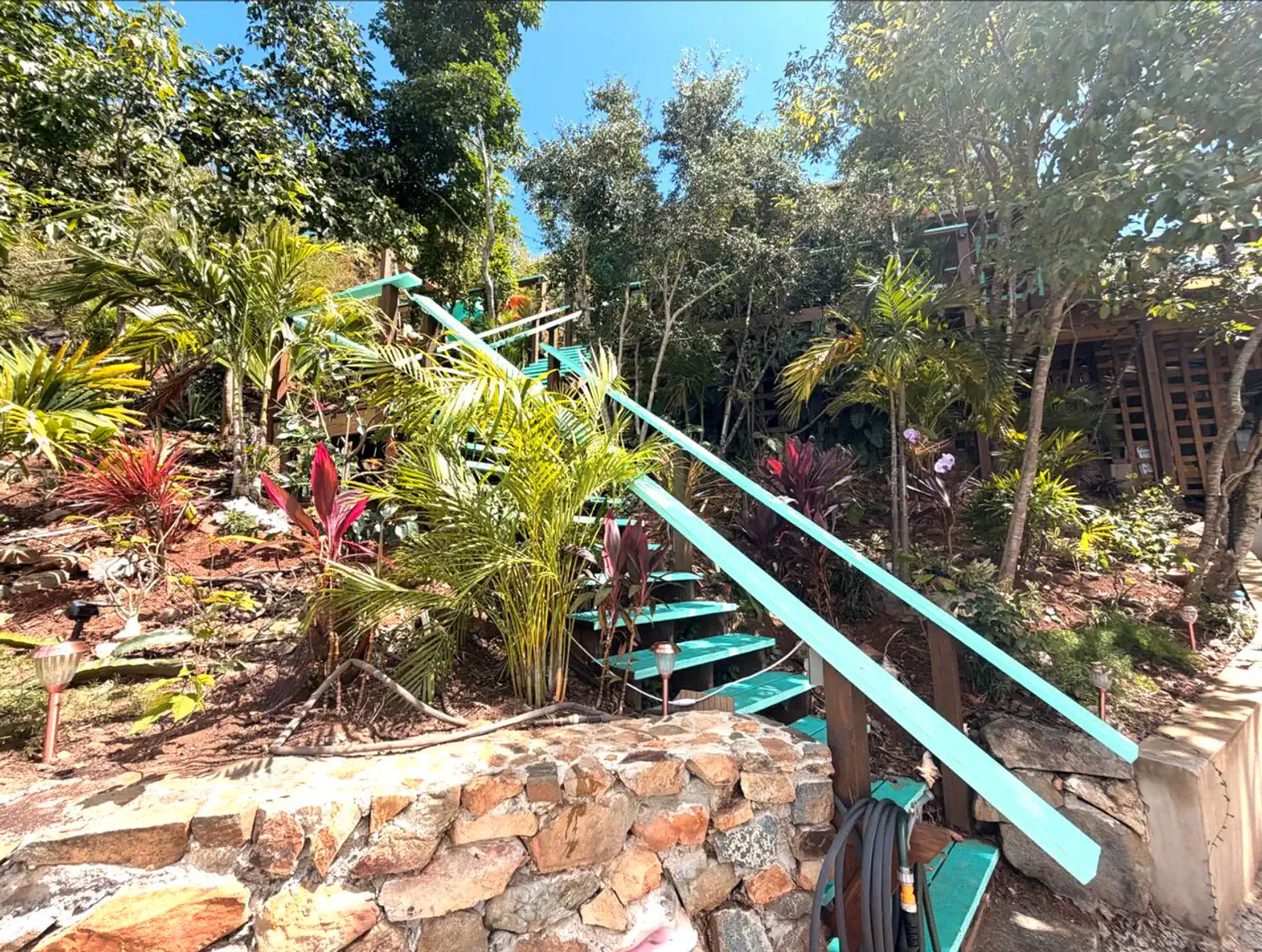 Escadaria rodeada por plantas tropicais e vegetação exuberante