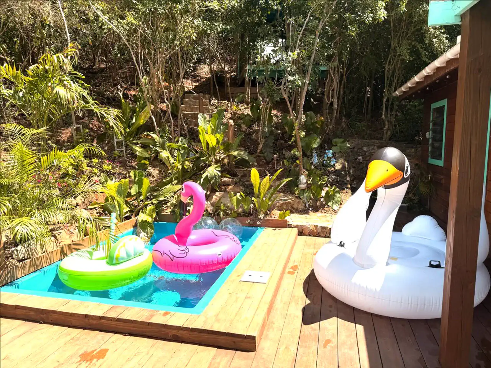 Espaço externo com piscina e infláveis coloridos rodeados por vegetação