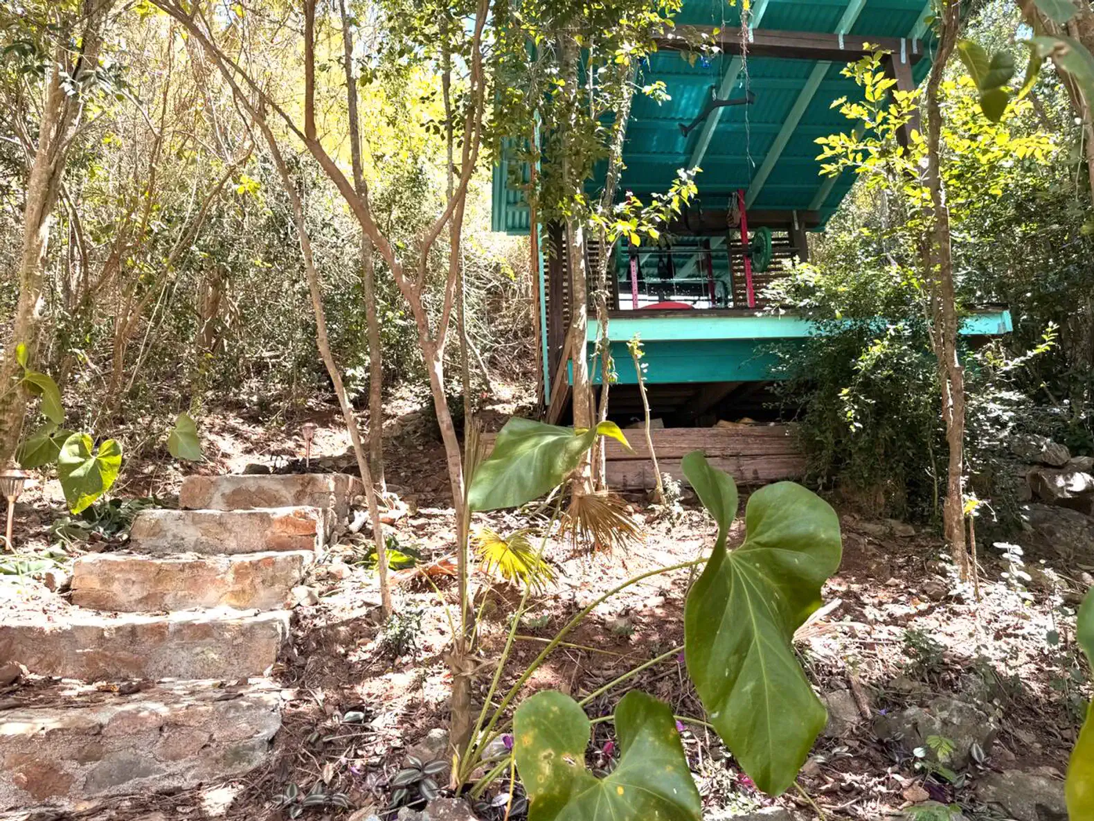 Escadas de pedra levando a uma casa elevada cercada por vegetação tropical