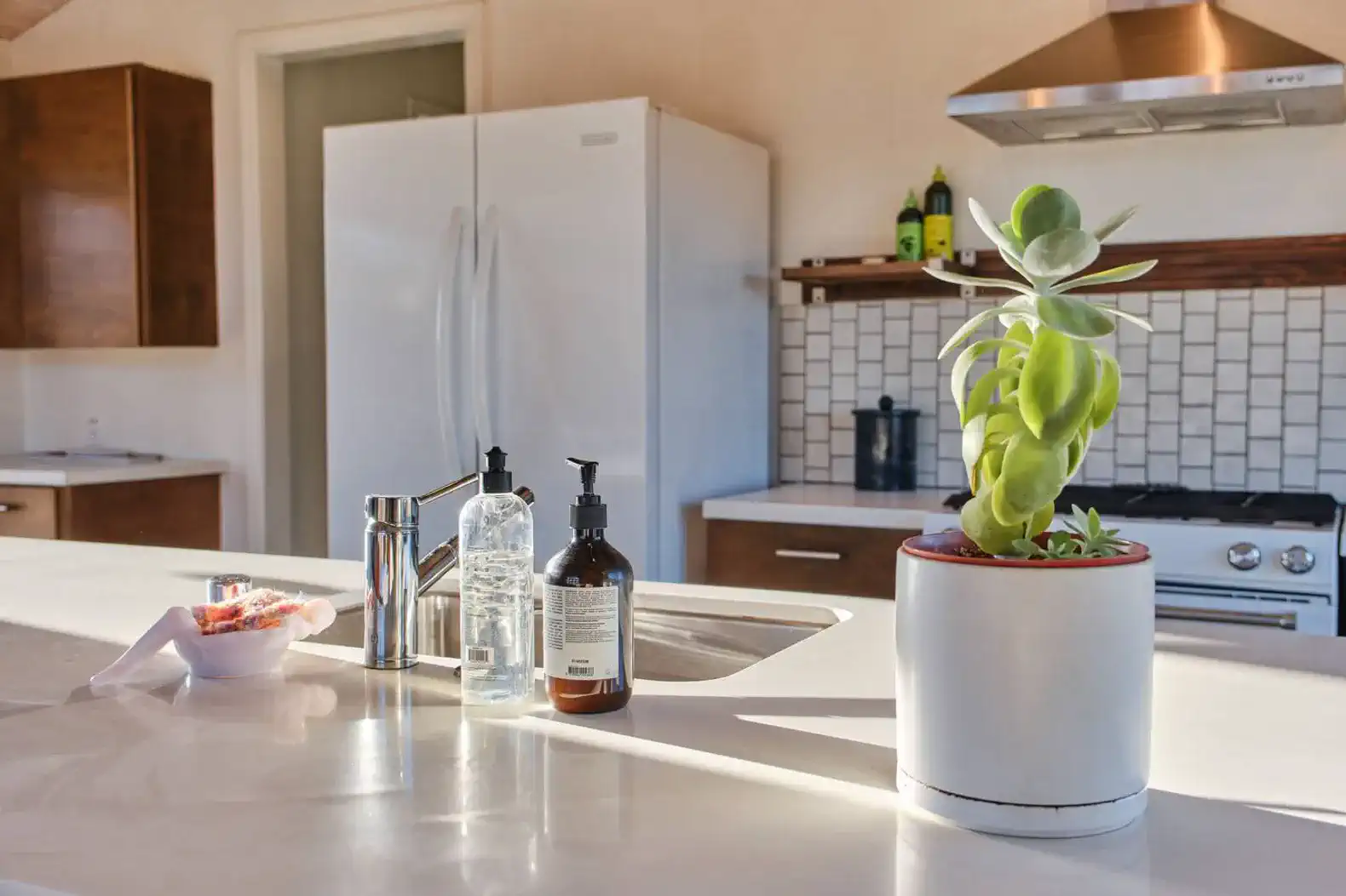 Modern kitchen with sleek countertops, stainless steel appliances, and a potted succulent