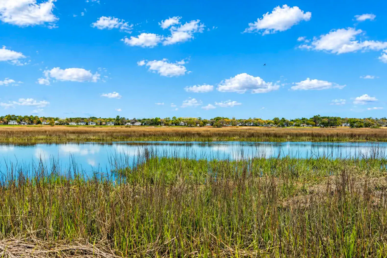 Scenic view of a calm water body surrounded by lush greenery and blue sky with clouds