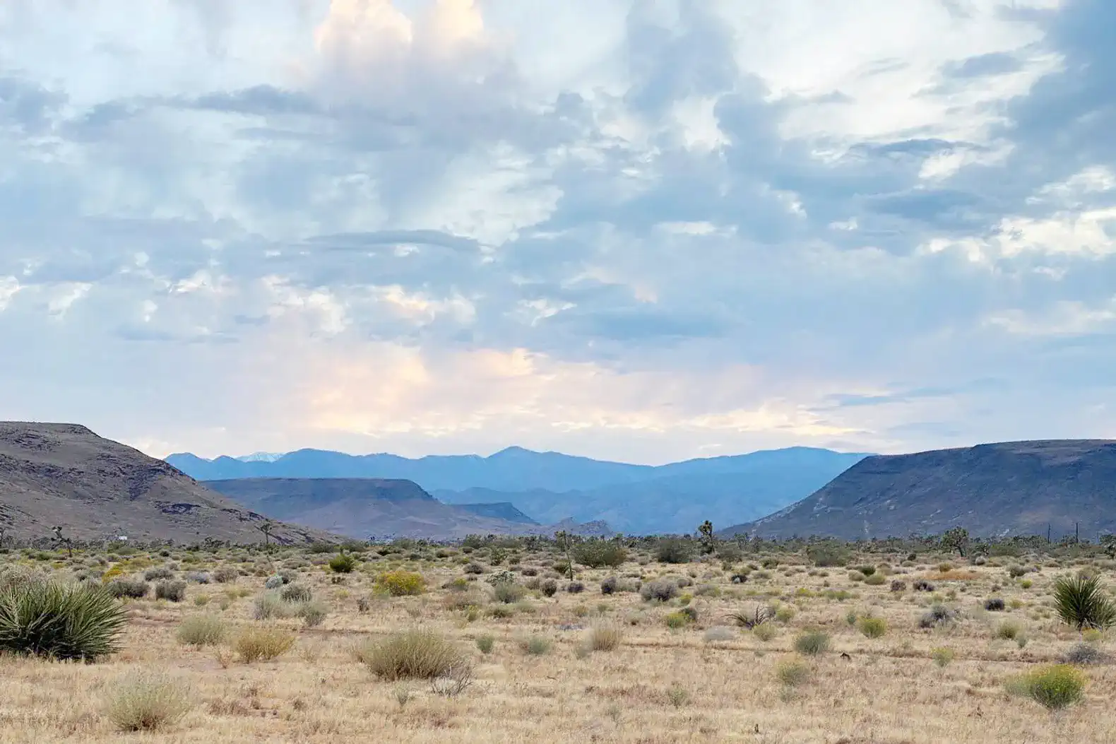 Sage Desert Retreat- Spa, 5 acres, fire pit, views – photo 48