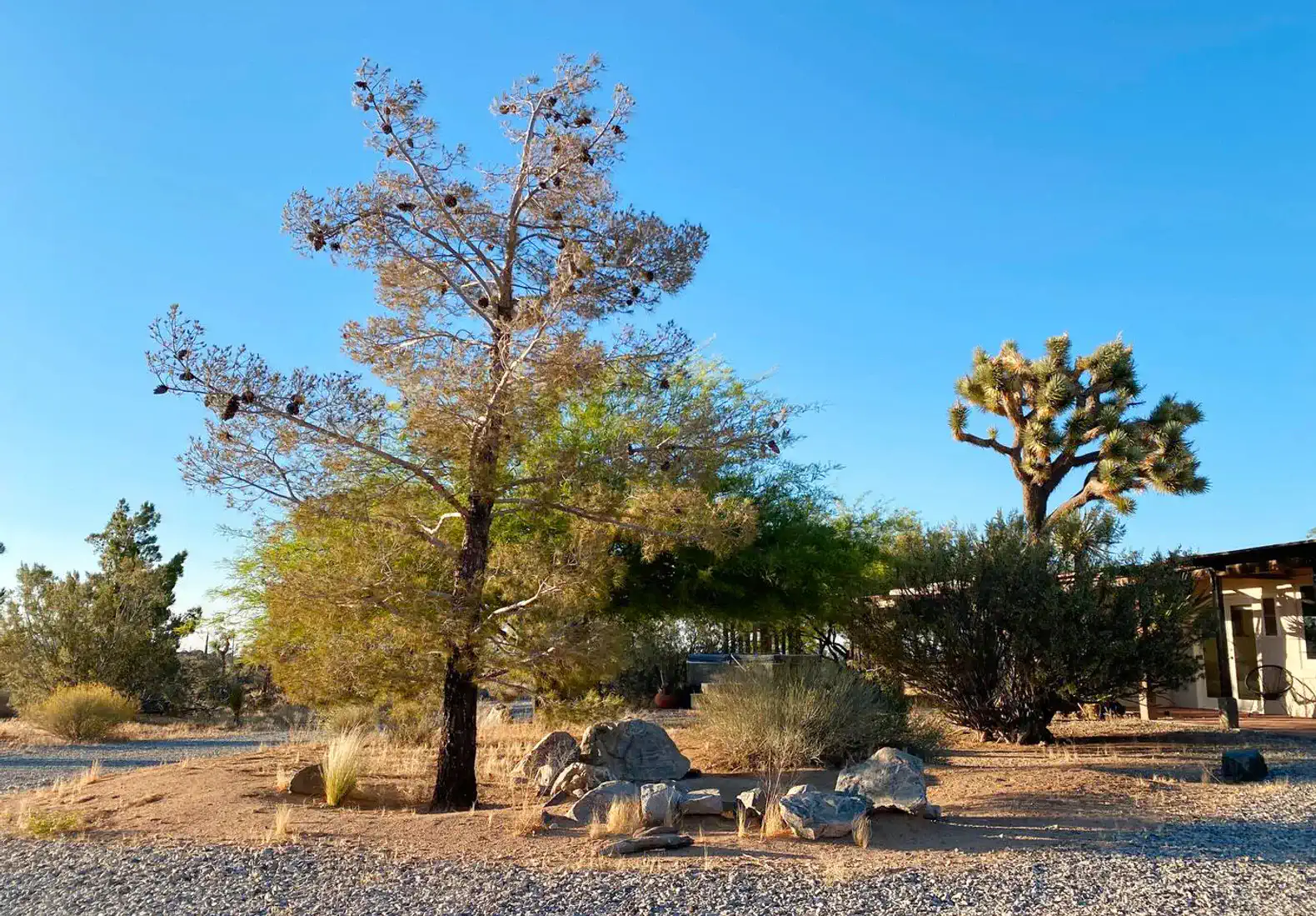 Sage Desert Retreat- Spa, 5 acres, fire pit, views – photo 46