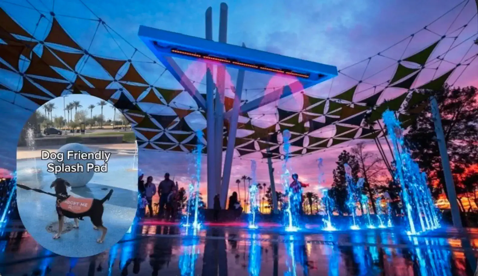 Downtown Mesa, Cmpct Studio Layout+ Night Security – photo 14