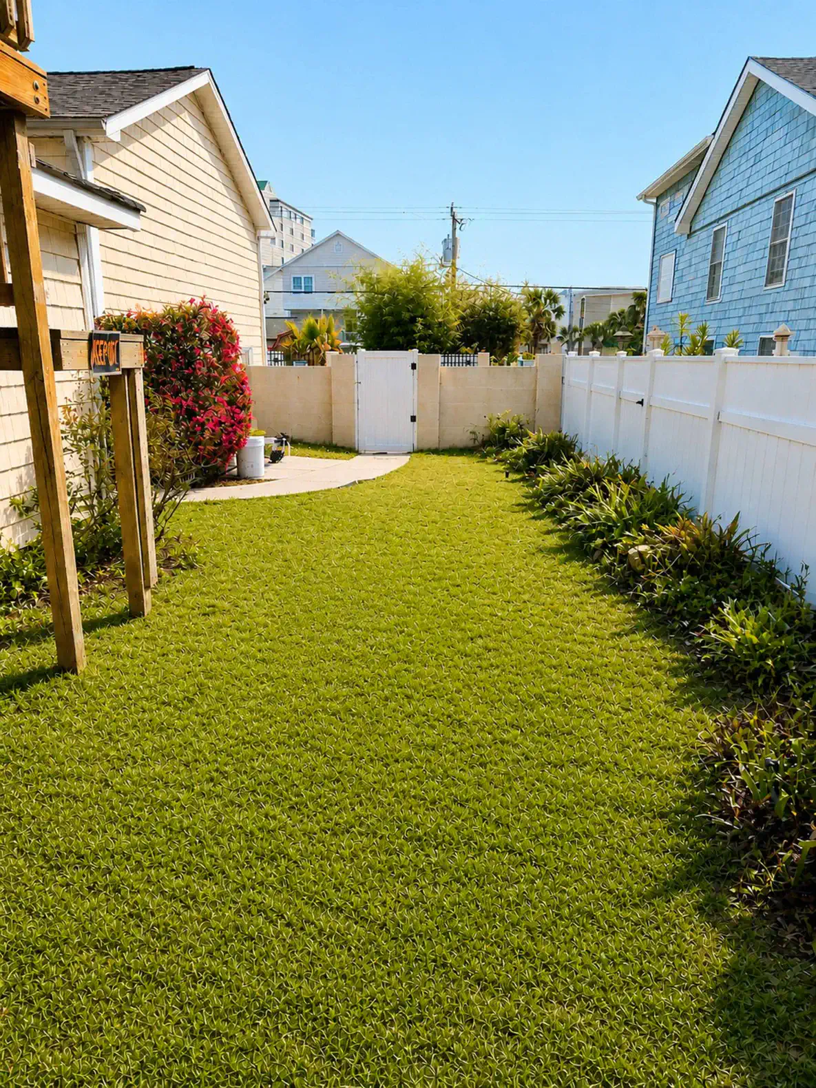 Backyard Area