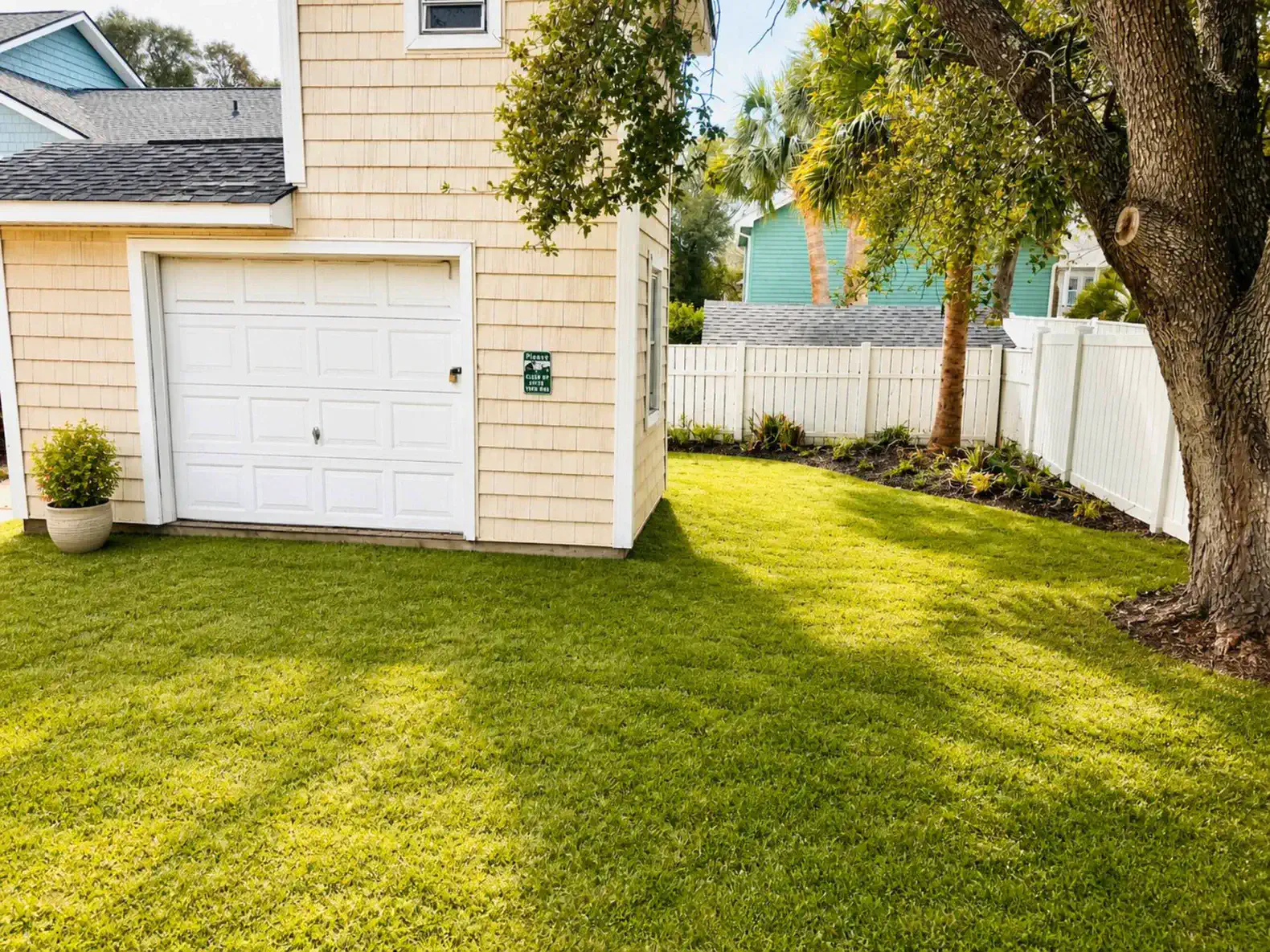 Backyard area