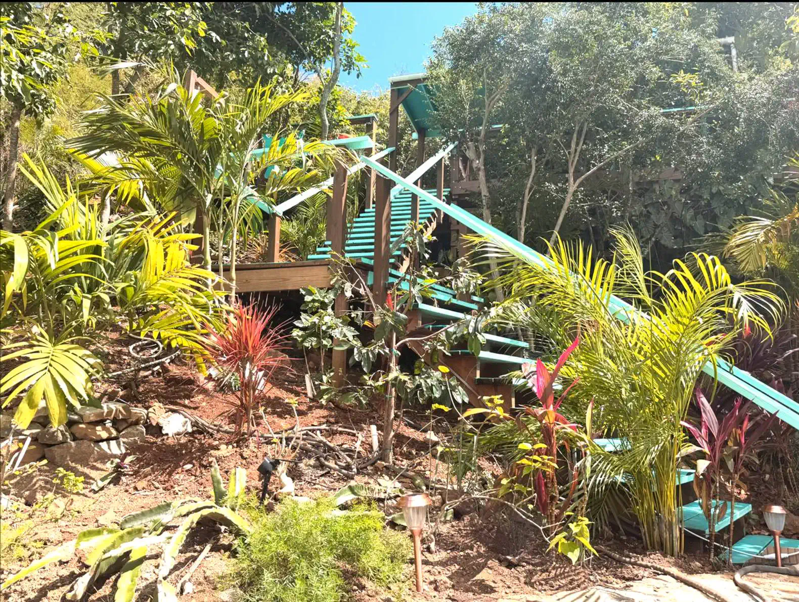 Colorful tropical plants surrounding wooden stairs leading up the hillside