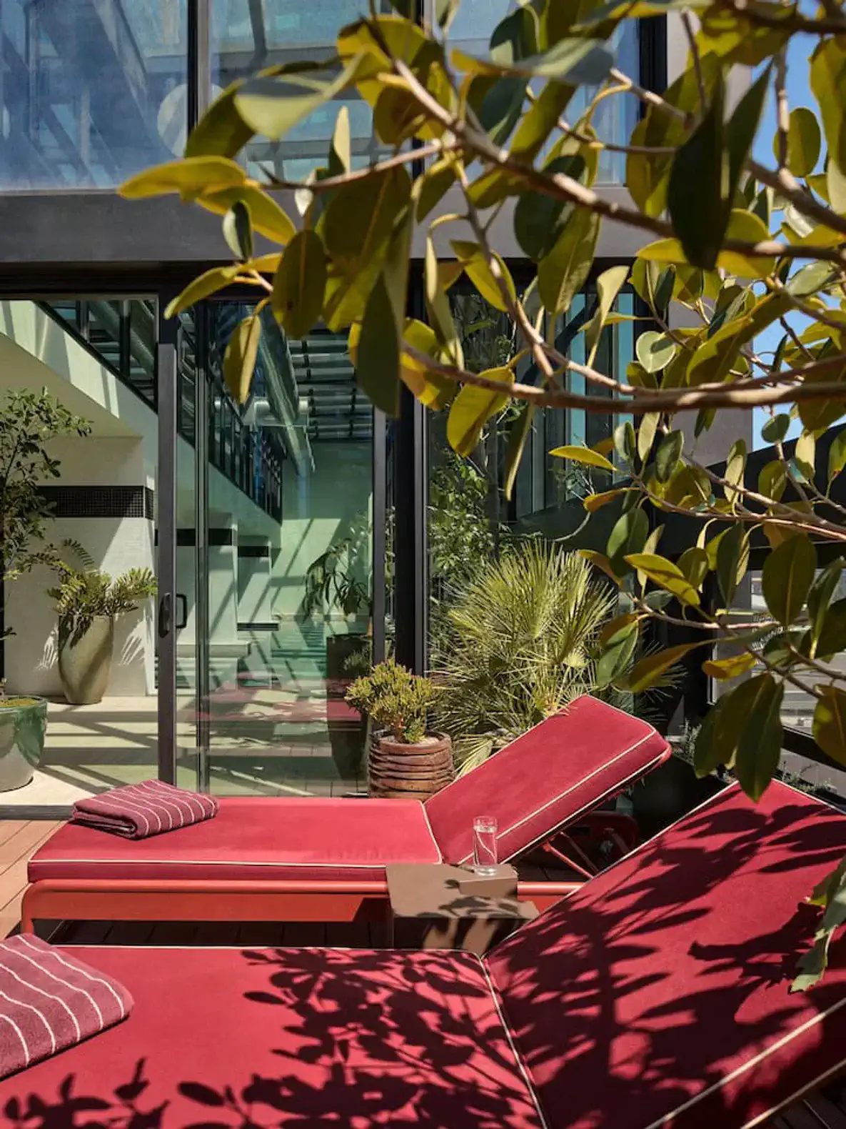 Lounge chairs on a sunlit terrace surrounded by greenery and glass walls