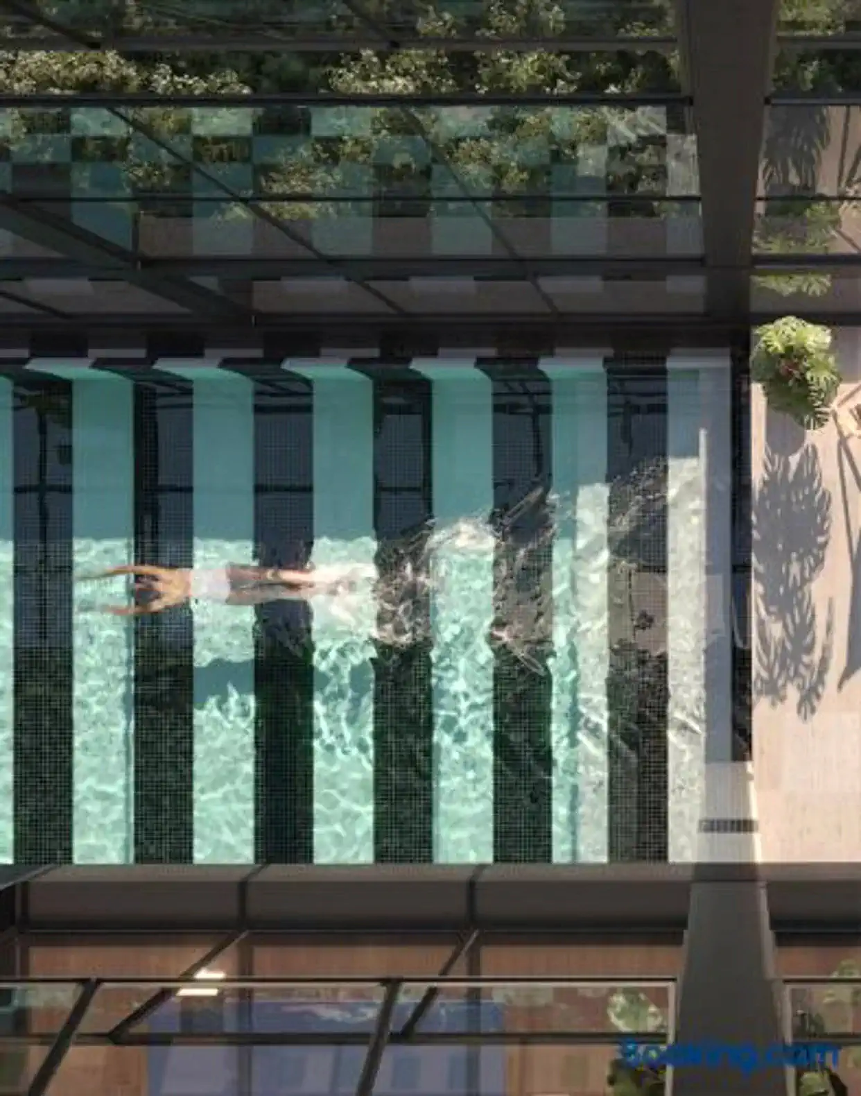 Aerial view of a swimming pool with swimmers and surrounding greenery