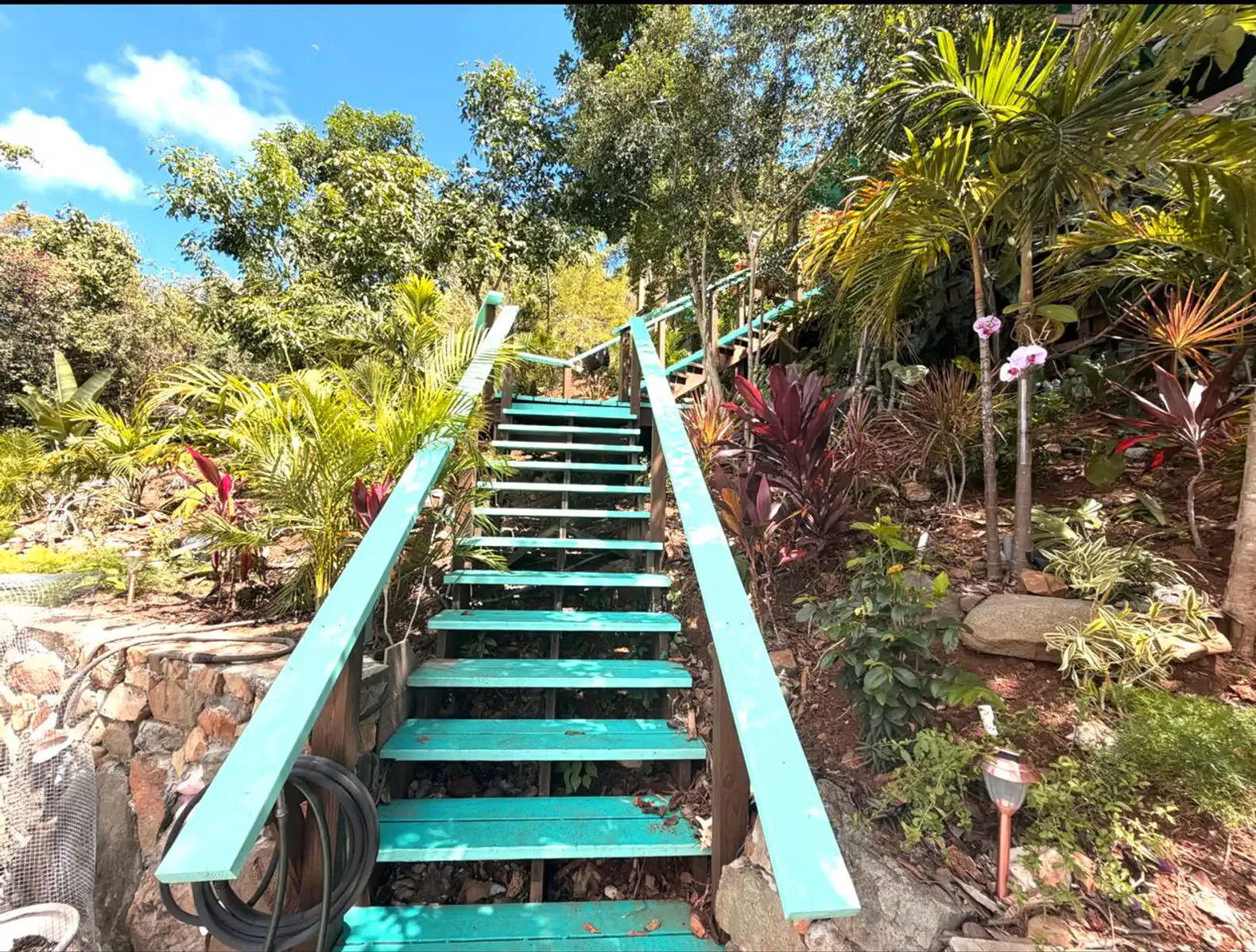 Colorful wooden stairs leading through lush tropical landscaping