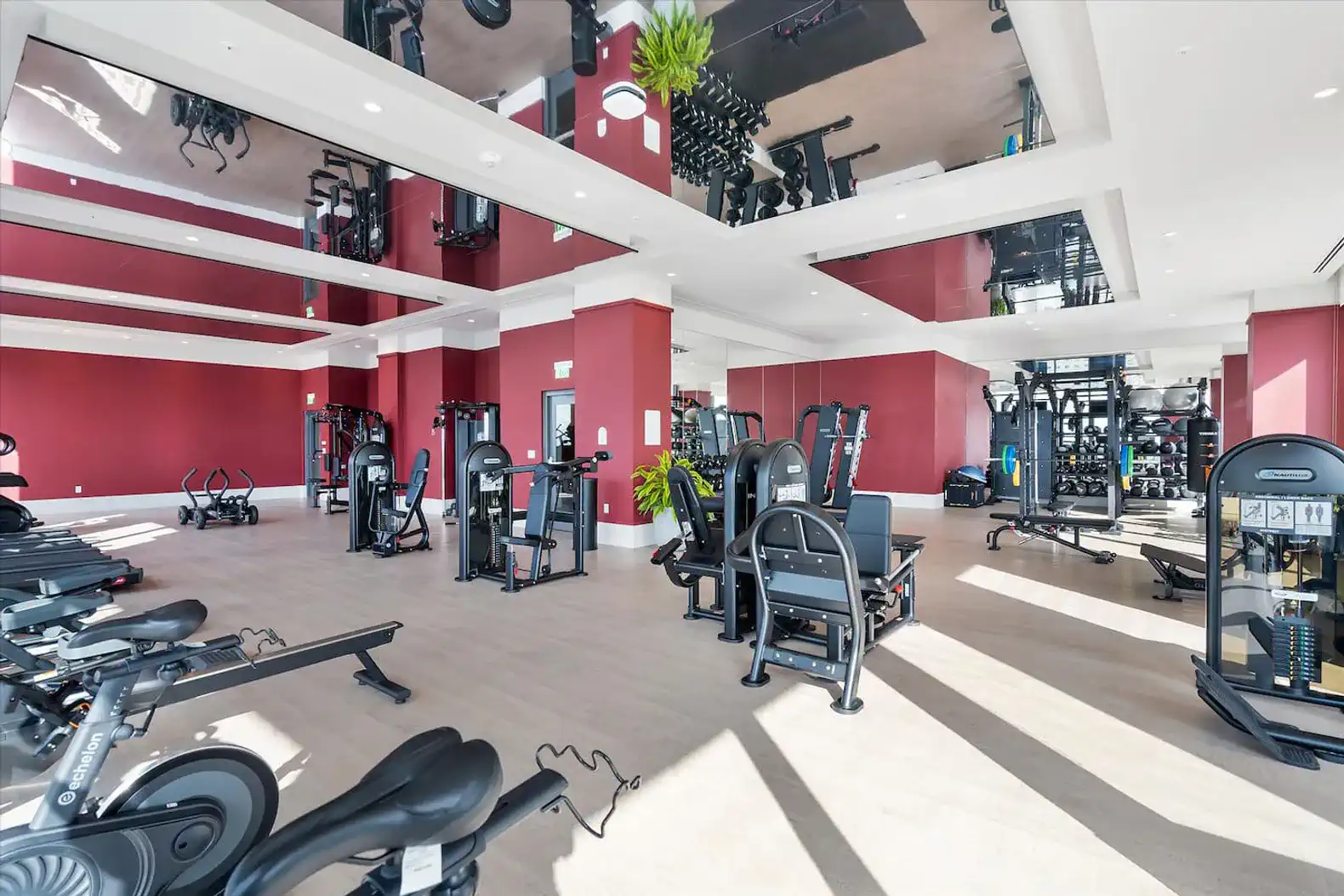 spacious gym with modern equipment and large mirrors