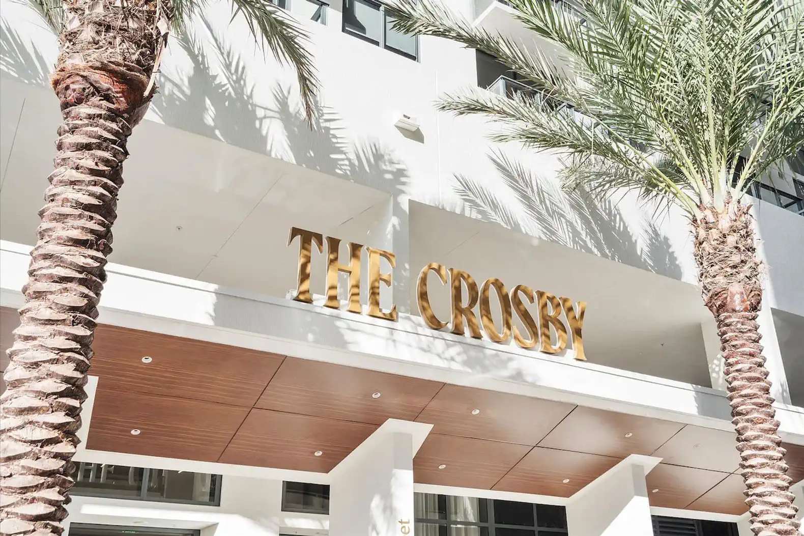 Stylish entrance with palm trees and modern signage