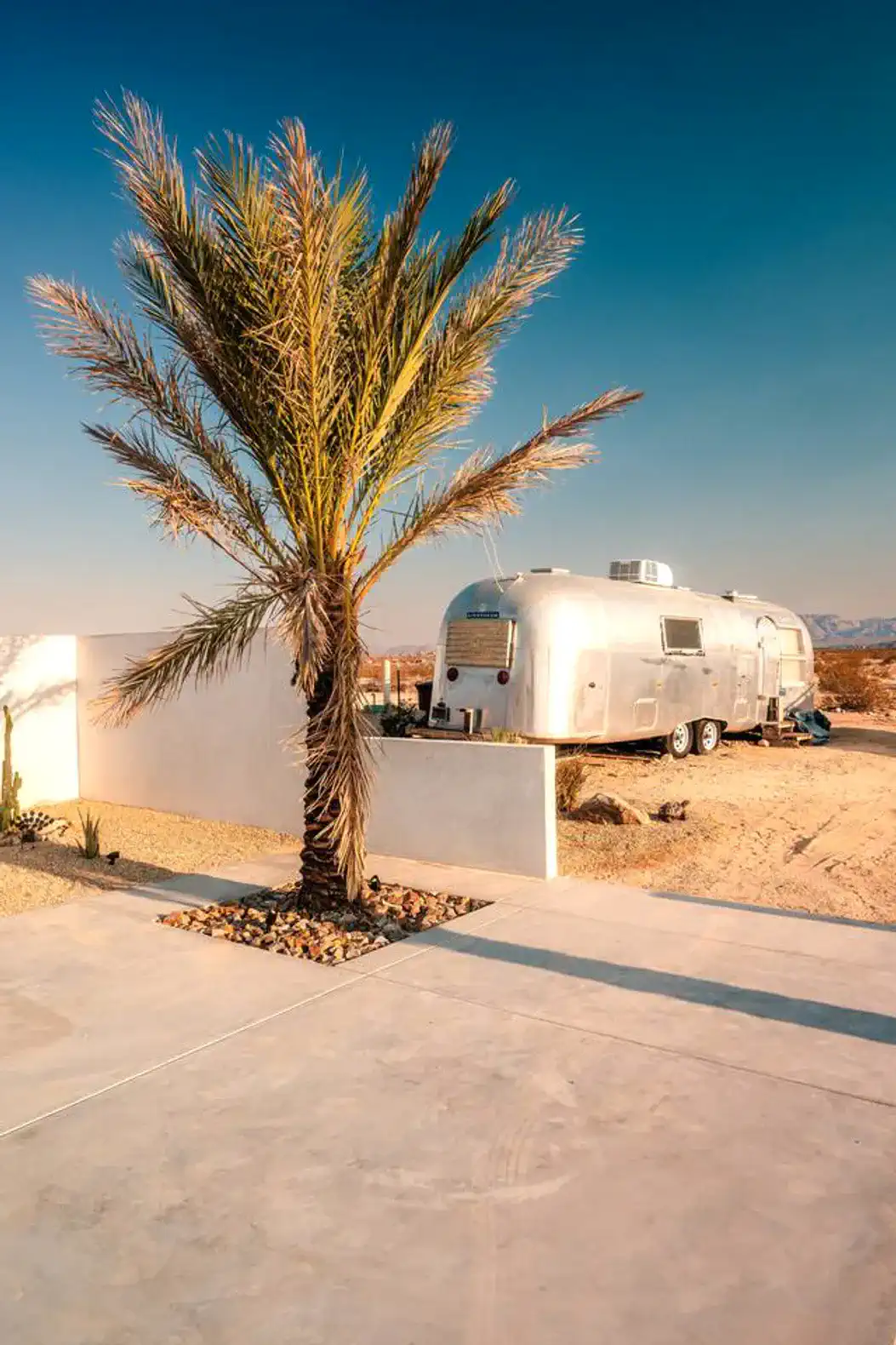 A palm tree in front of a silver Airstream trailer against a desert backdrop